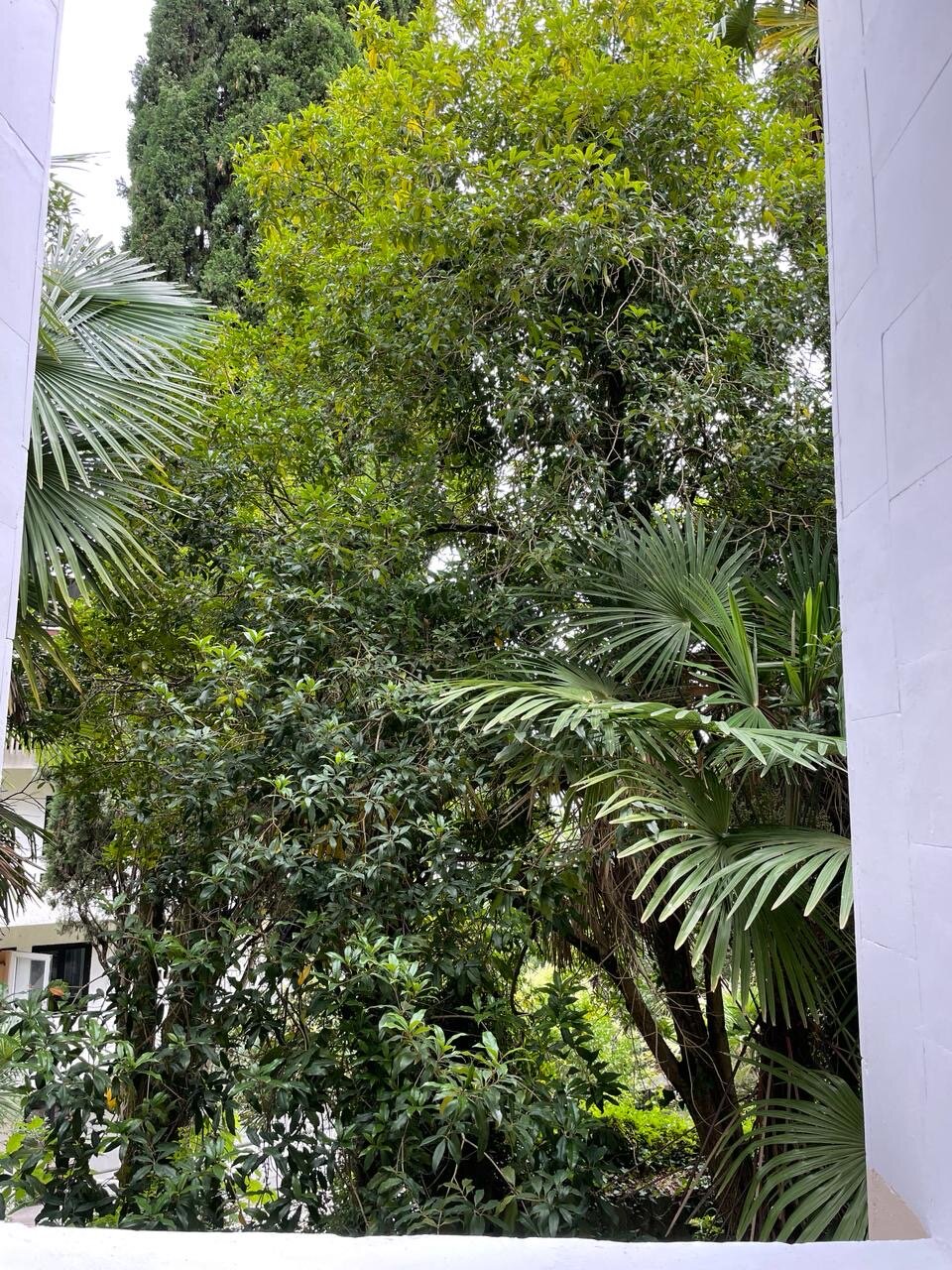 Фото Отель Villa Maria