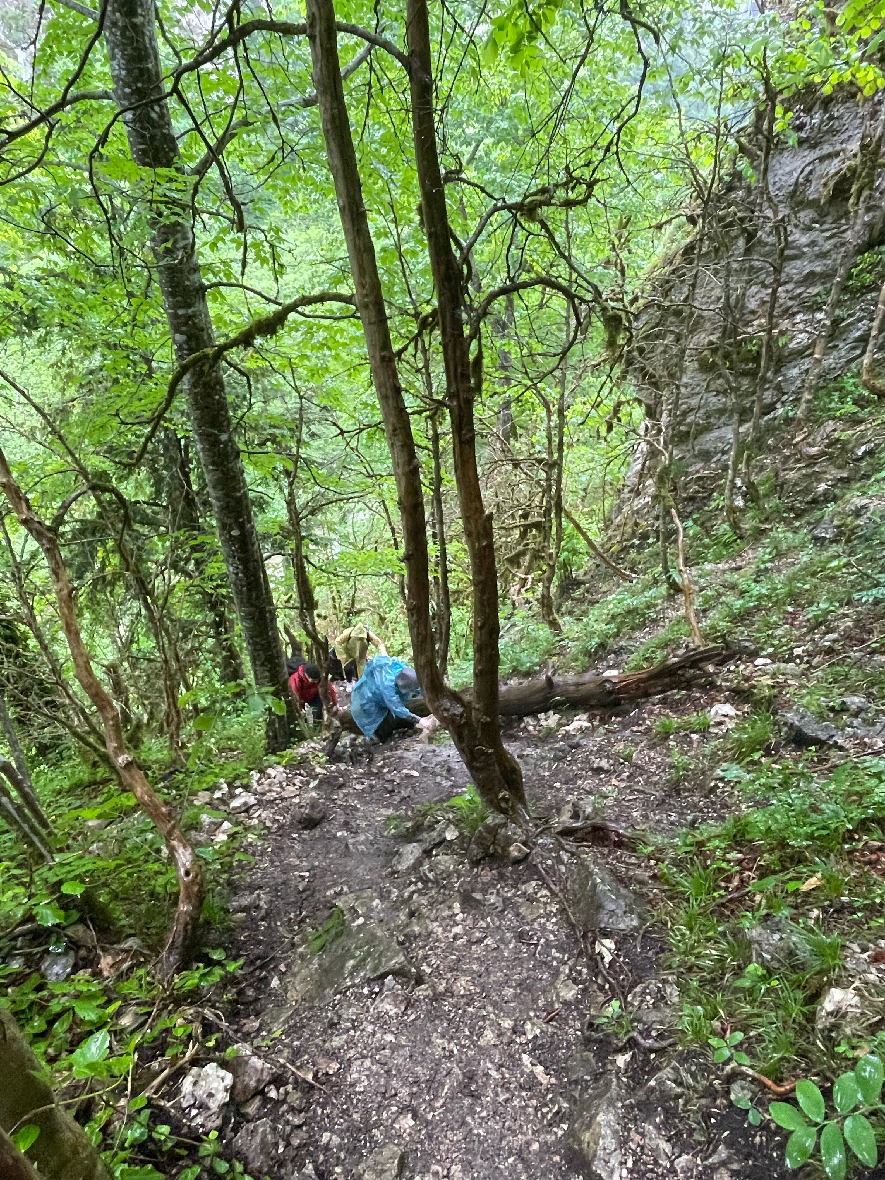 Фото Мезмай Мезон