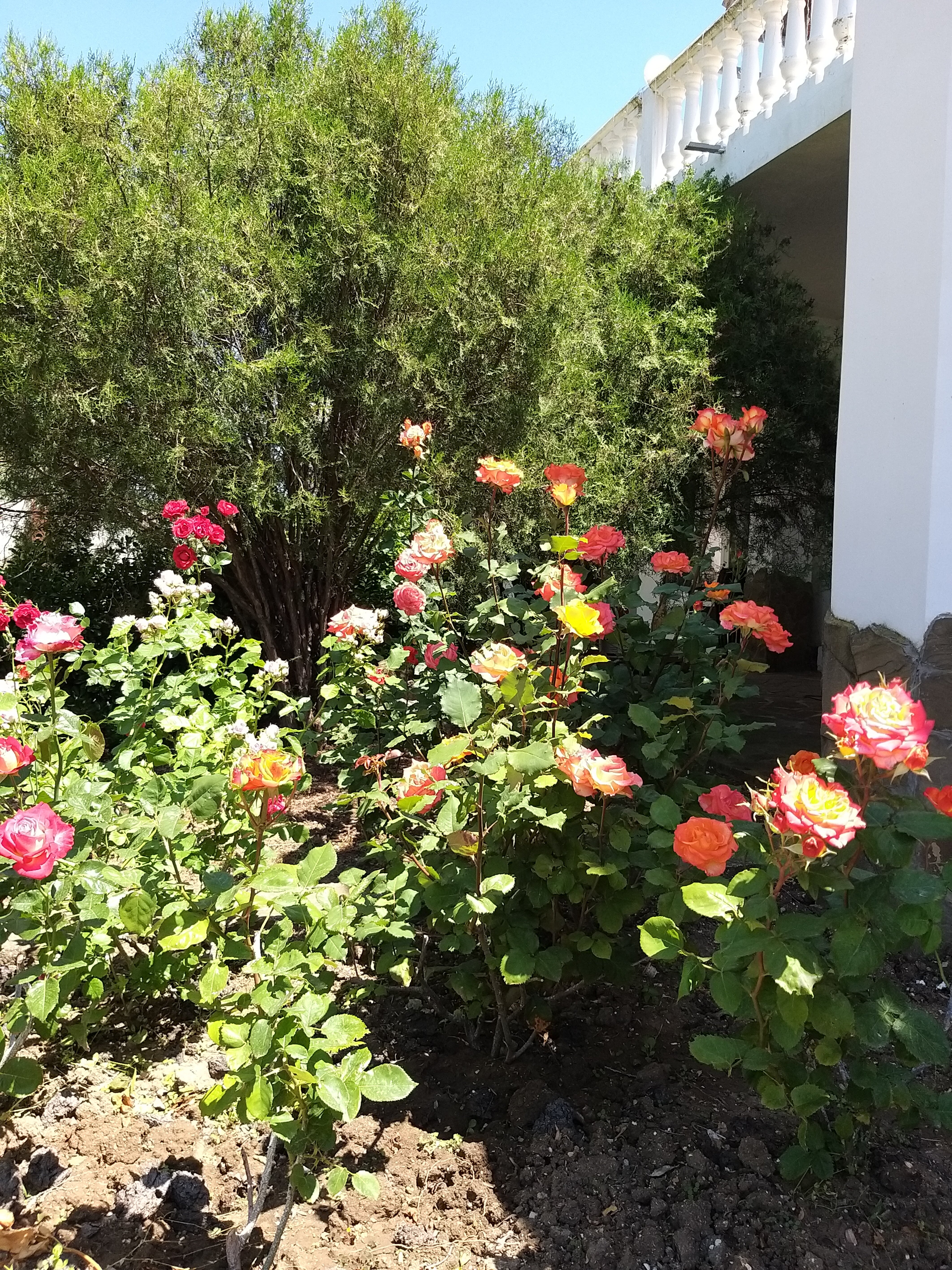 Фото Казантип