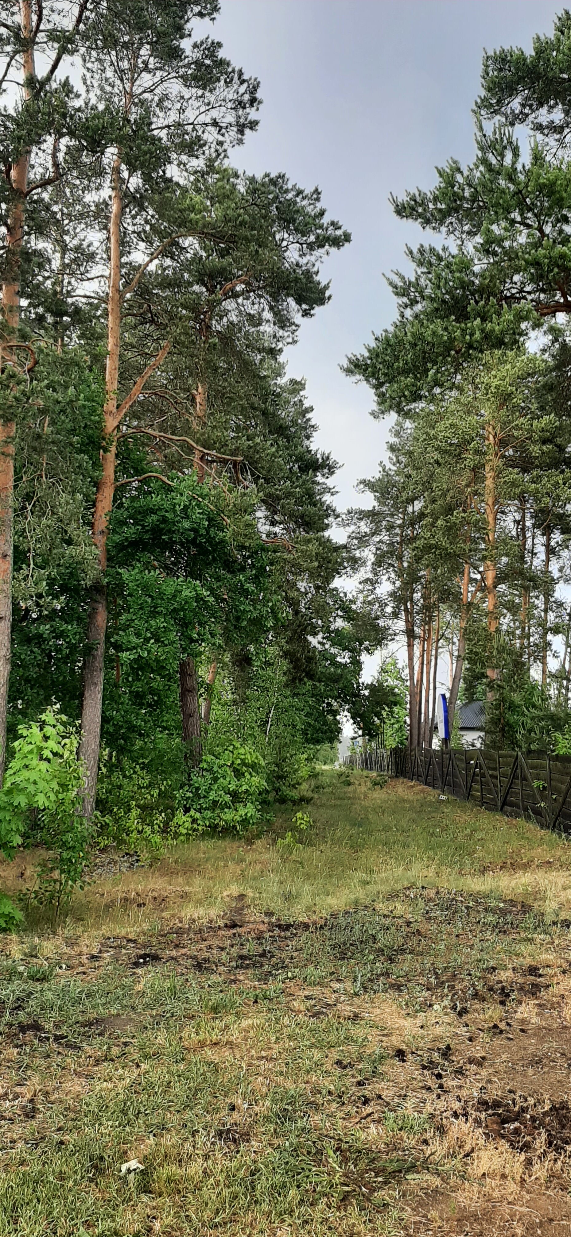 Фото Усадьба Николино