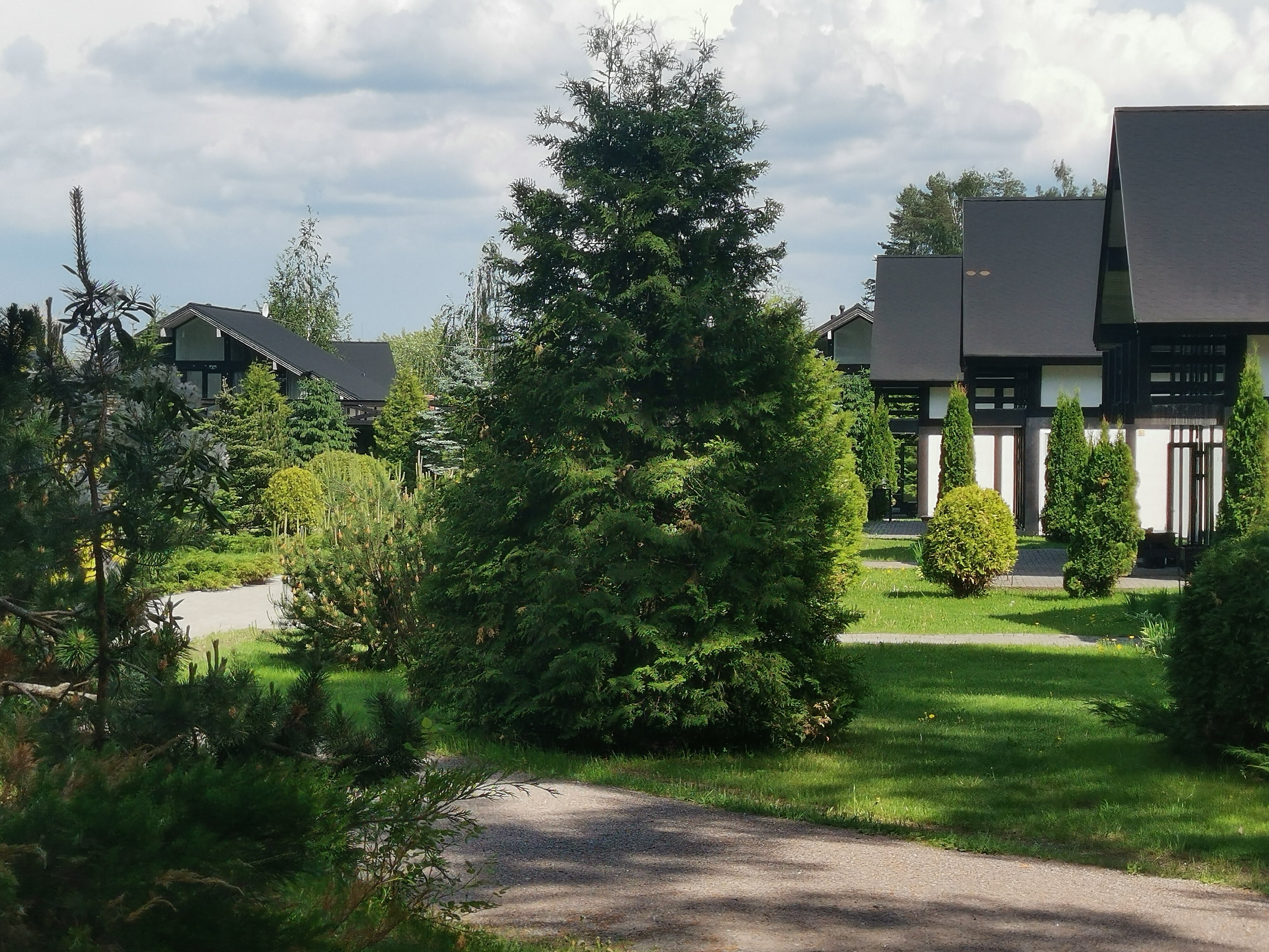 Фото Давинчи Парк