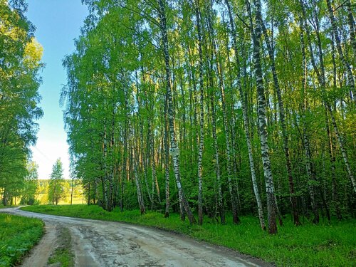 Дом отдыха Inles House в Нижнем Новгороде