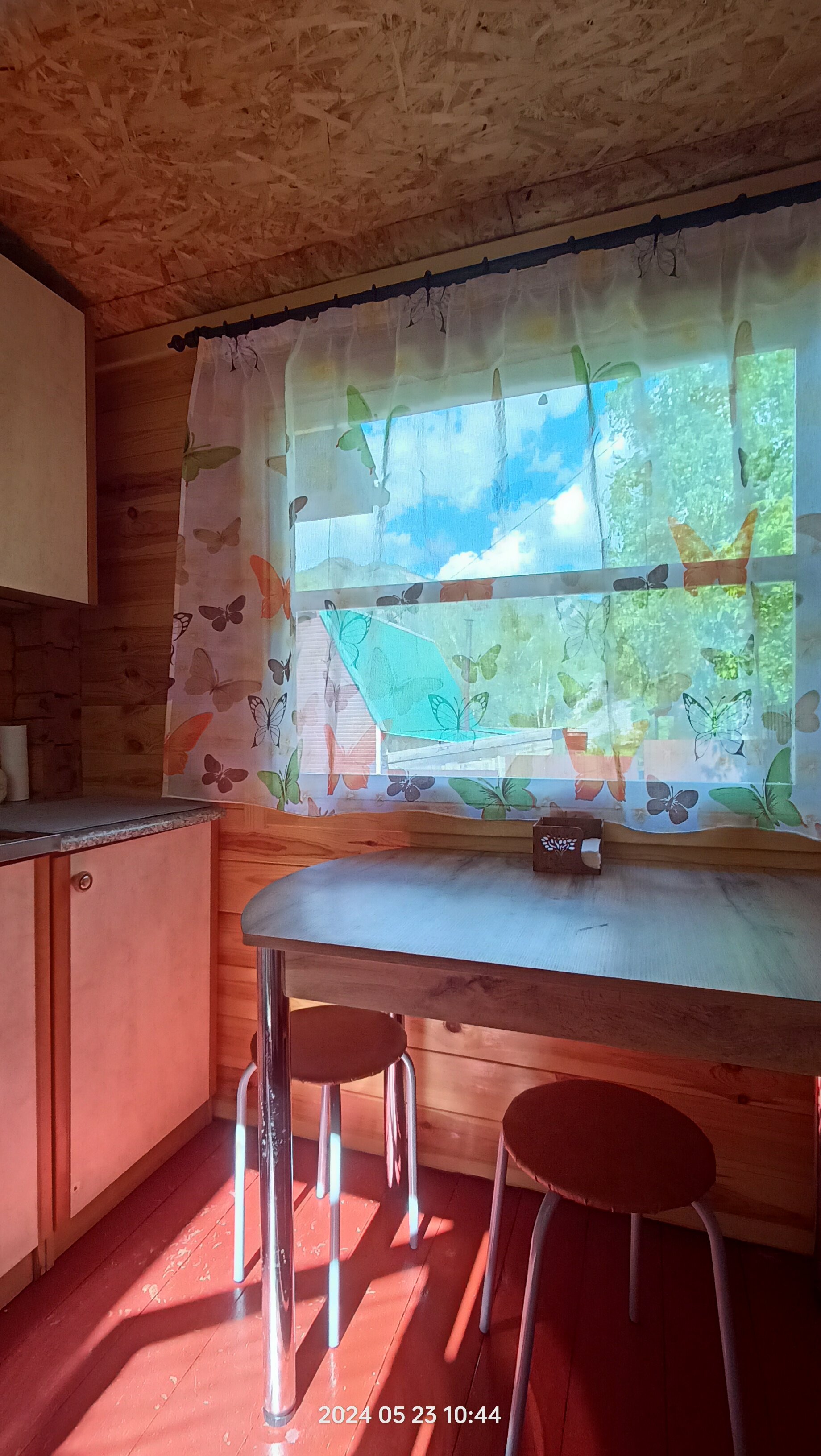 Фото У Бондаря