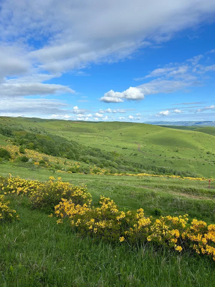 Фото Медовые Холмы
