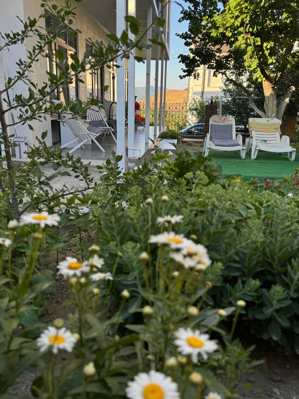 Фото Семейная атмосфера