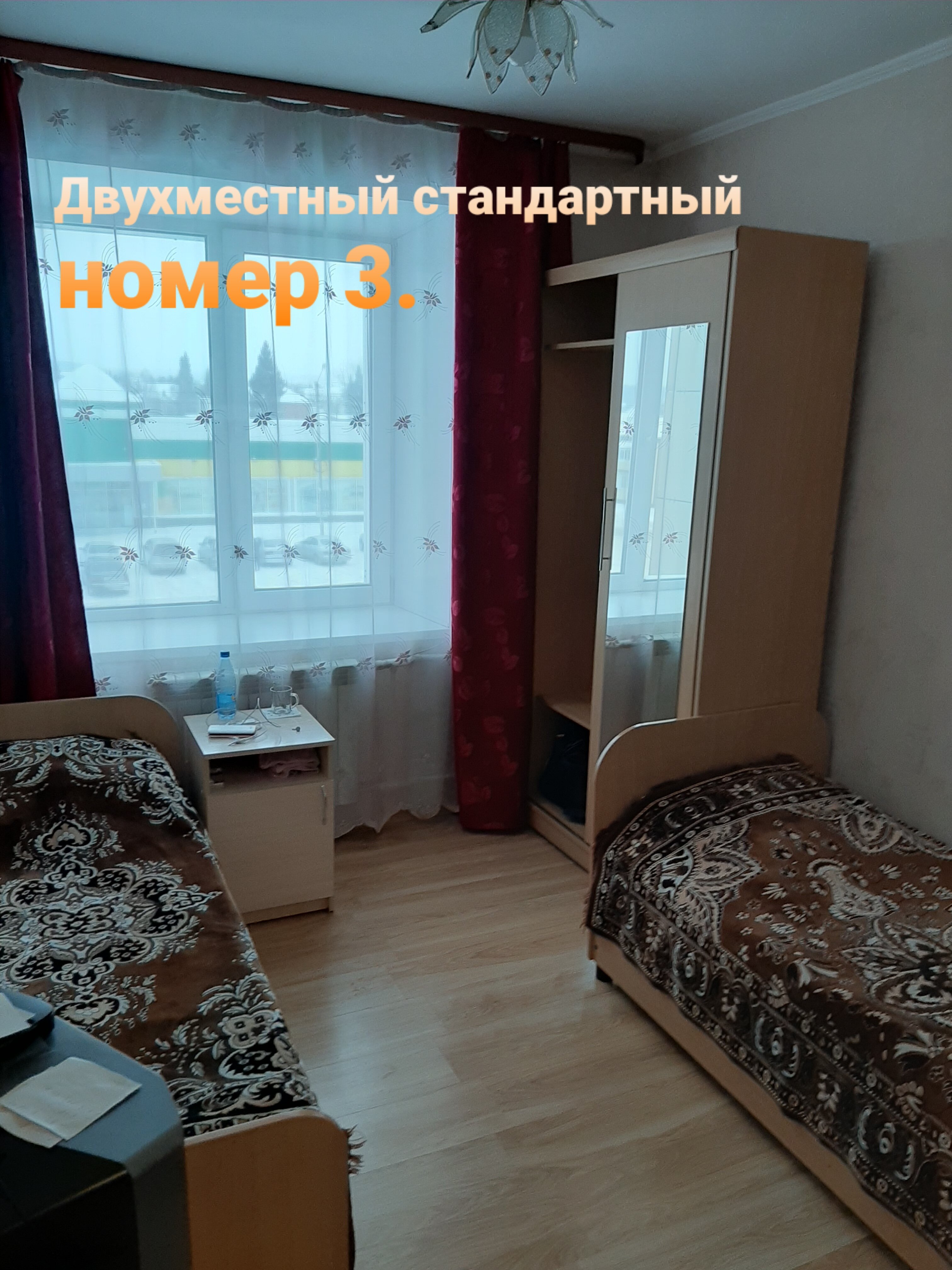 Фото Колибри