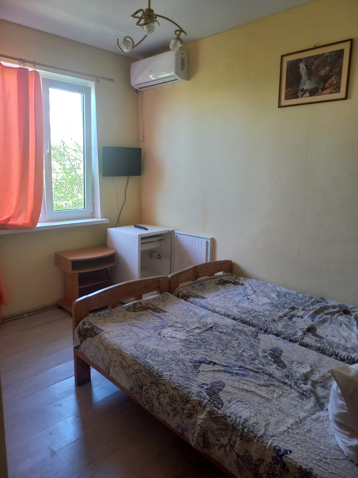 Фото Лагуна