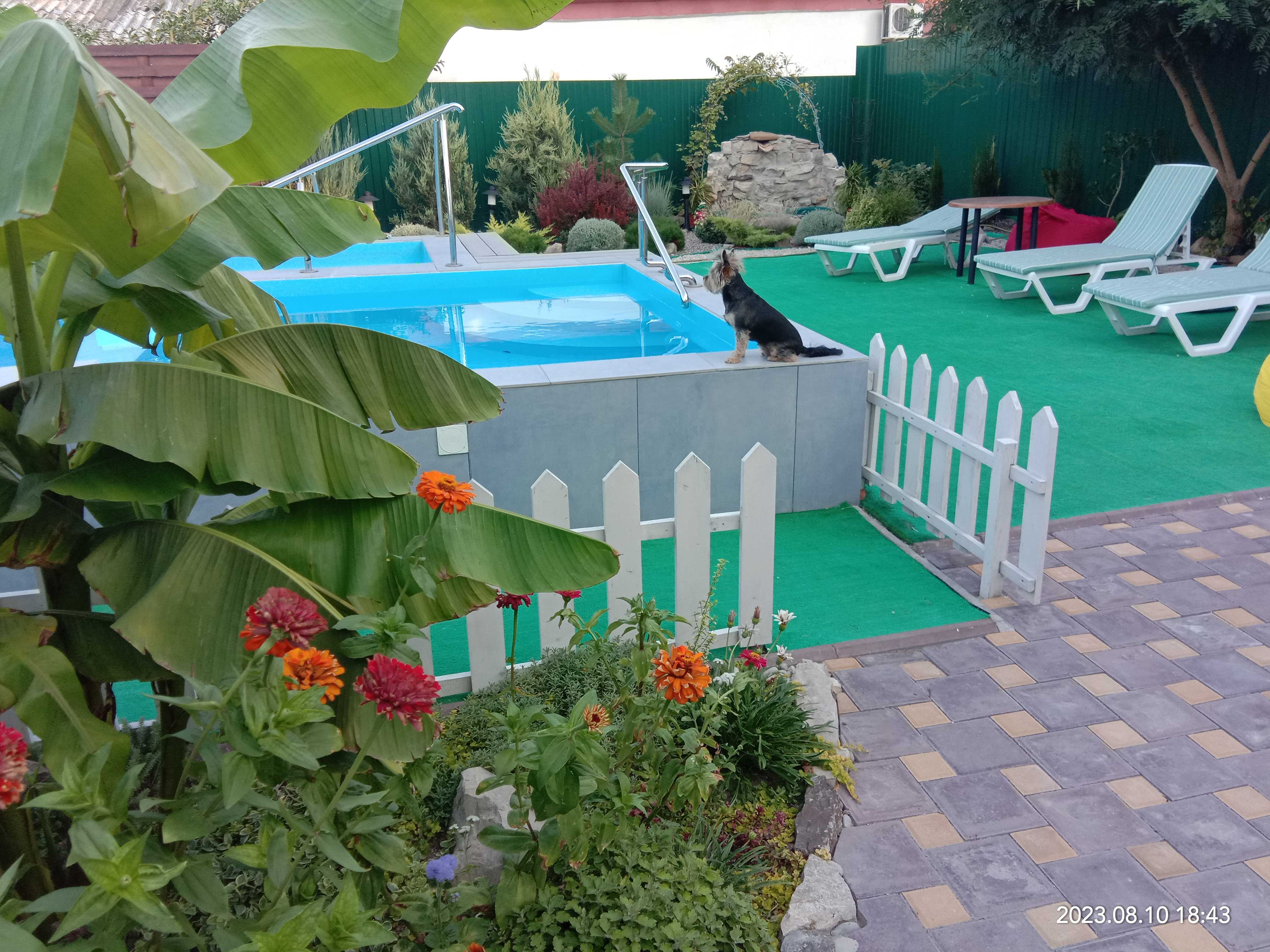 Фото Вера-Фео