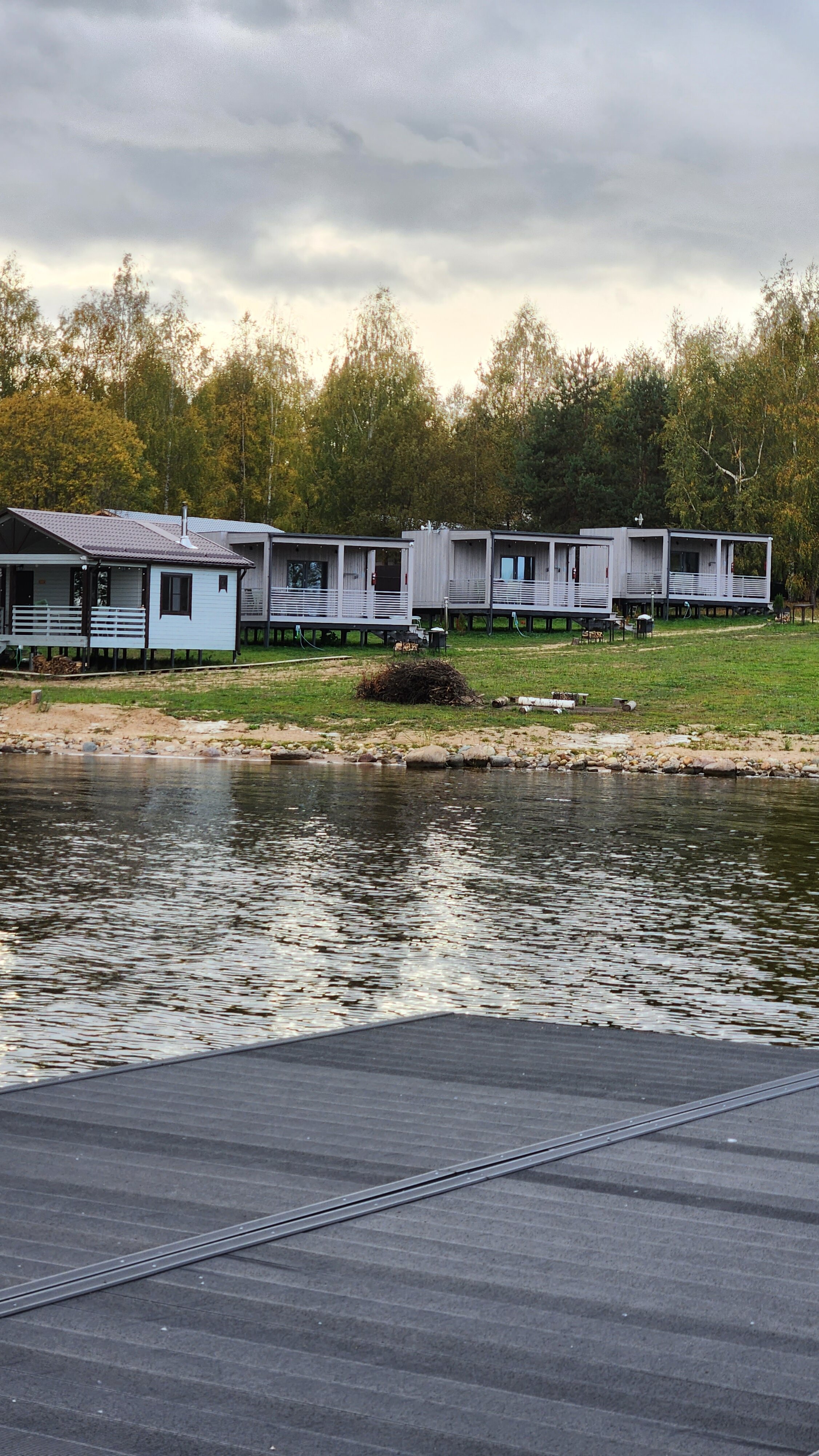 Фото Ёлки зелёные