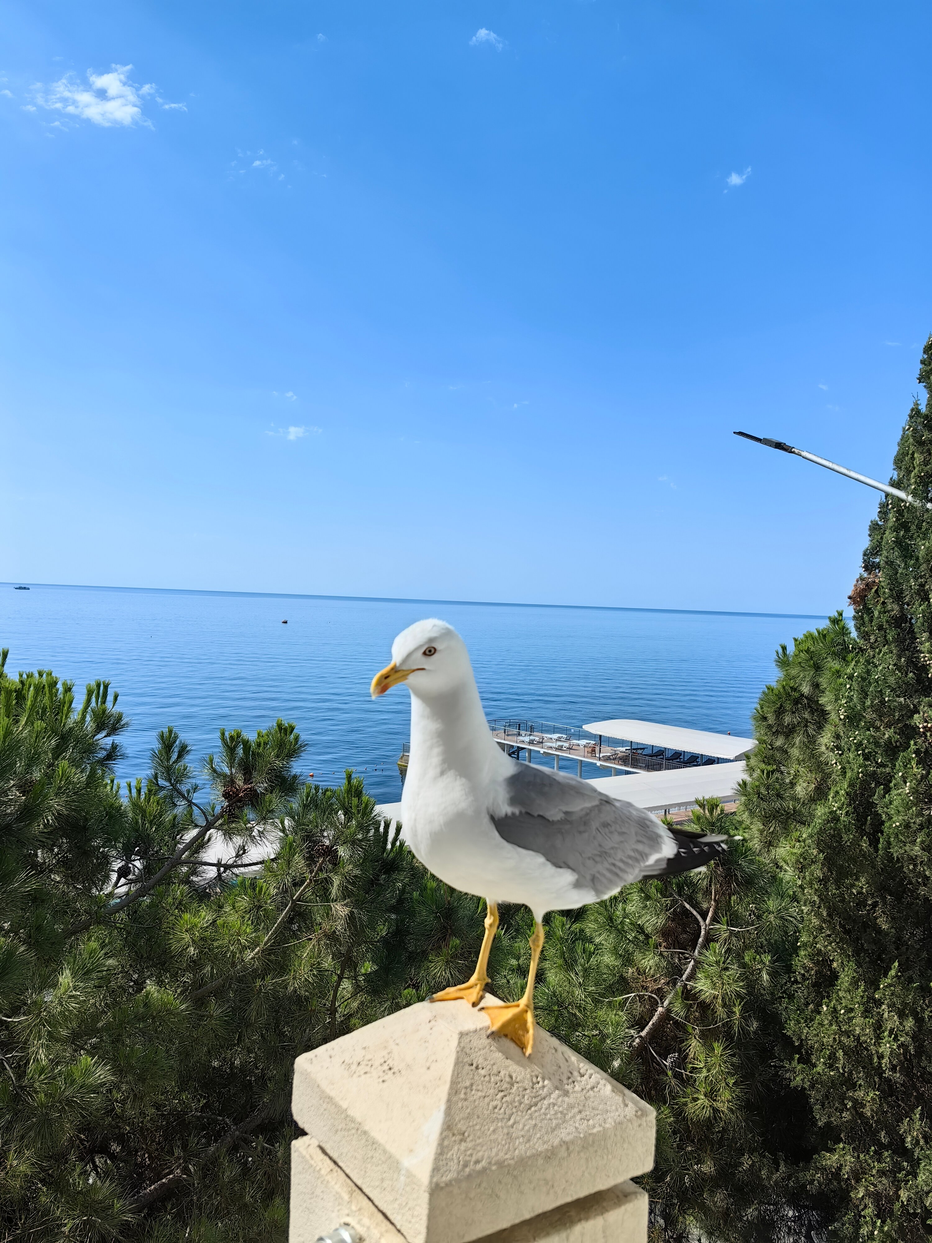 Фото На море хочу