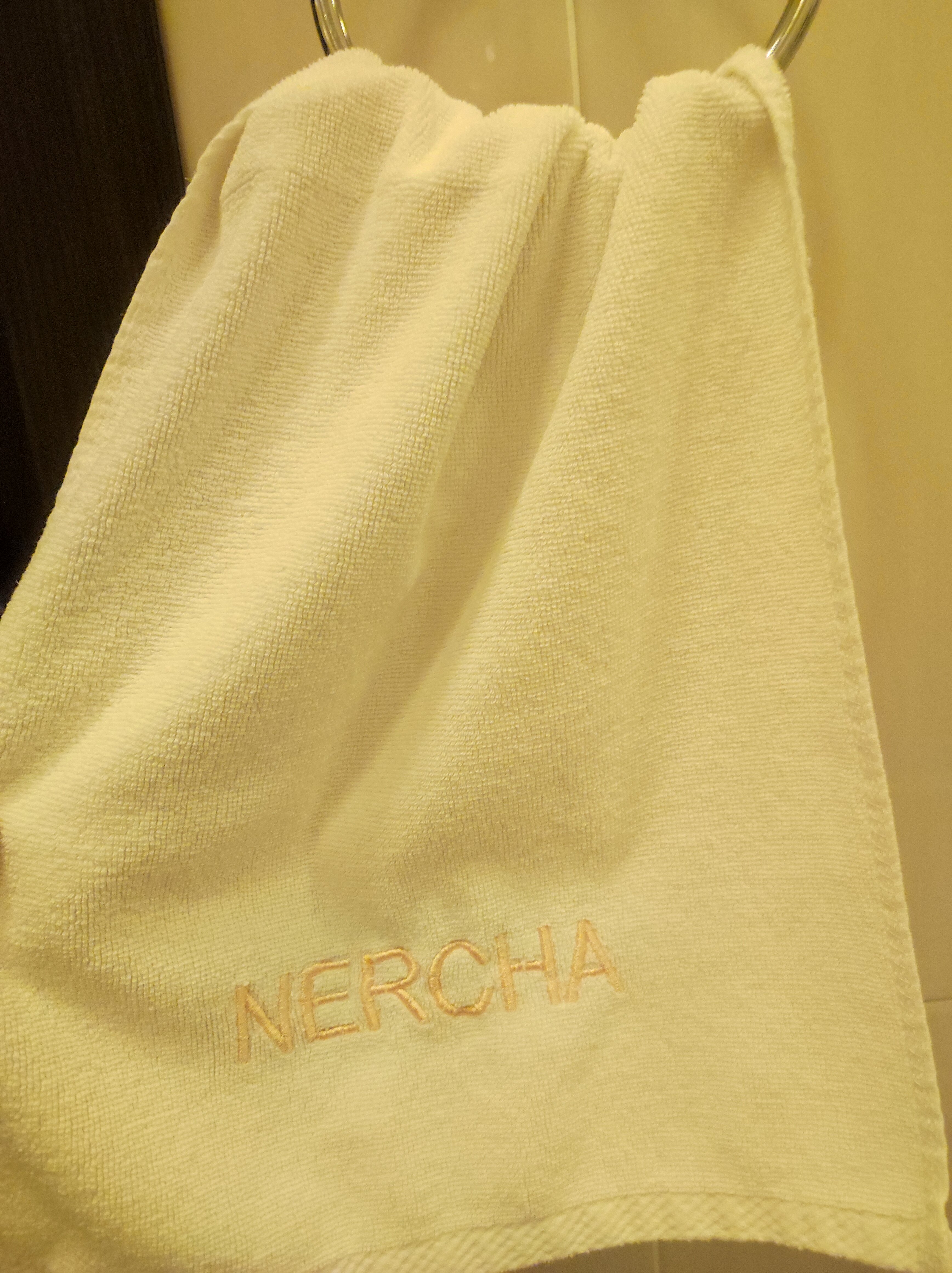 Фото Гостиница Нерча