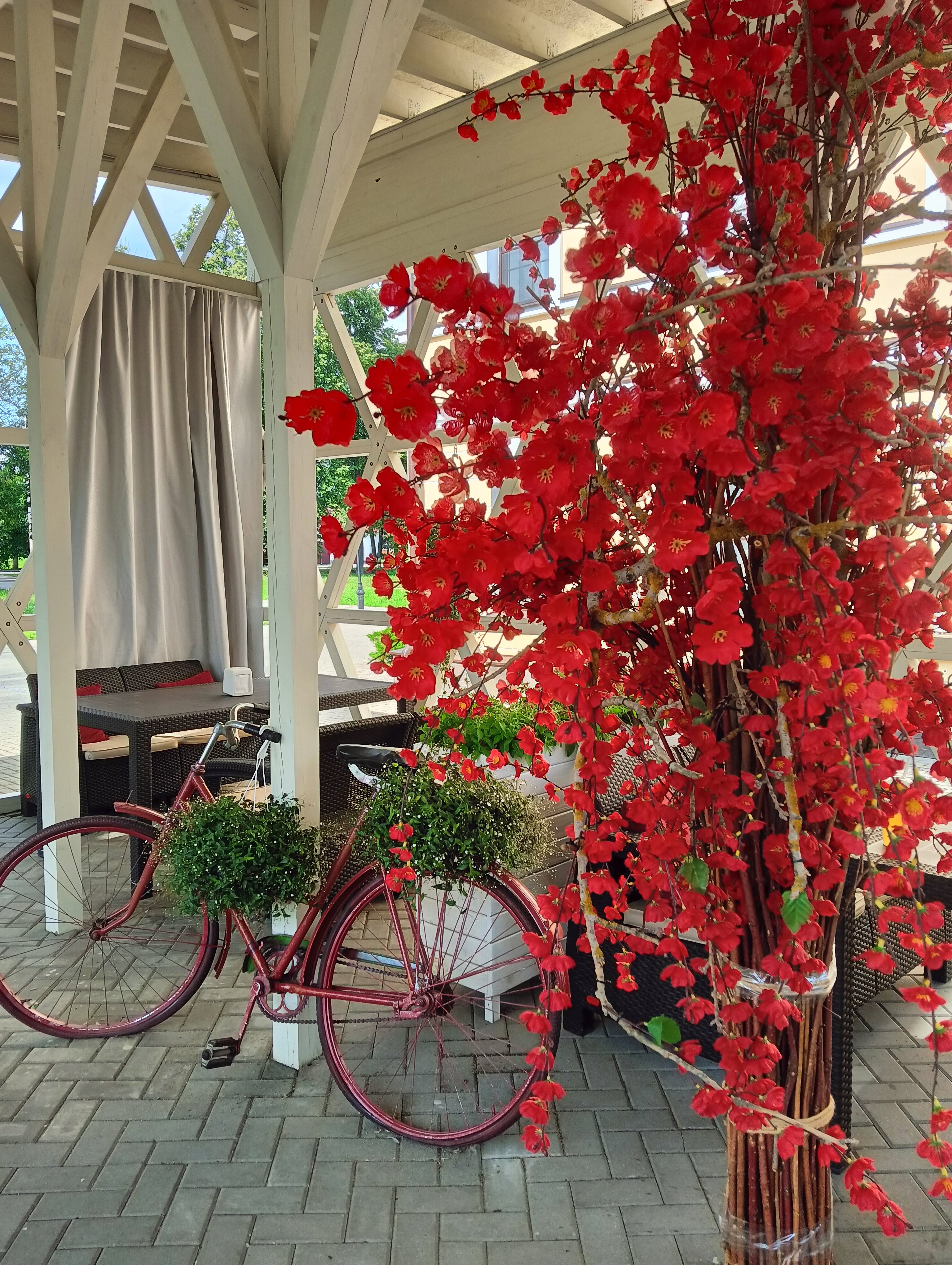 Фото Рождественский