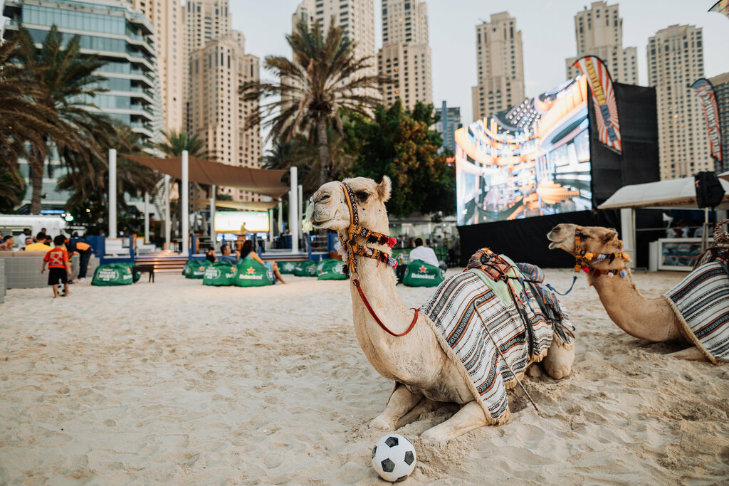 Bar, pub Wavebreaker, Dubai, photo
