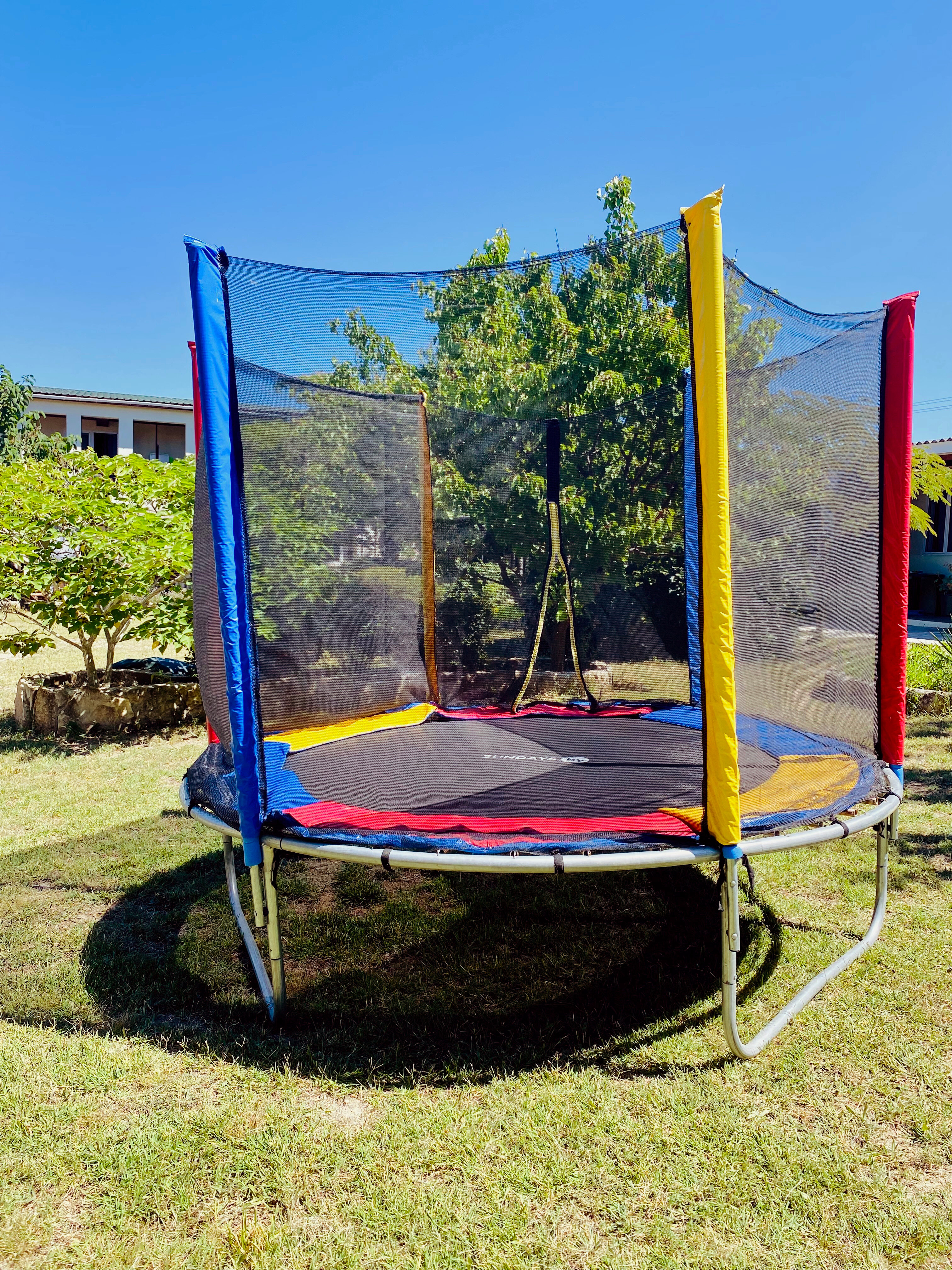 Фото АвокаДа