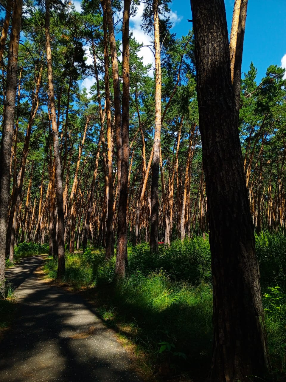 Фото Радуга