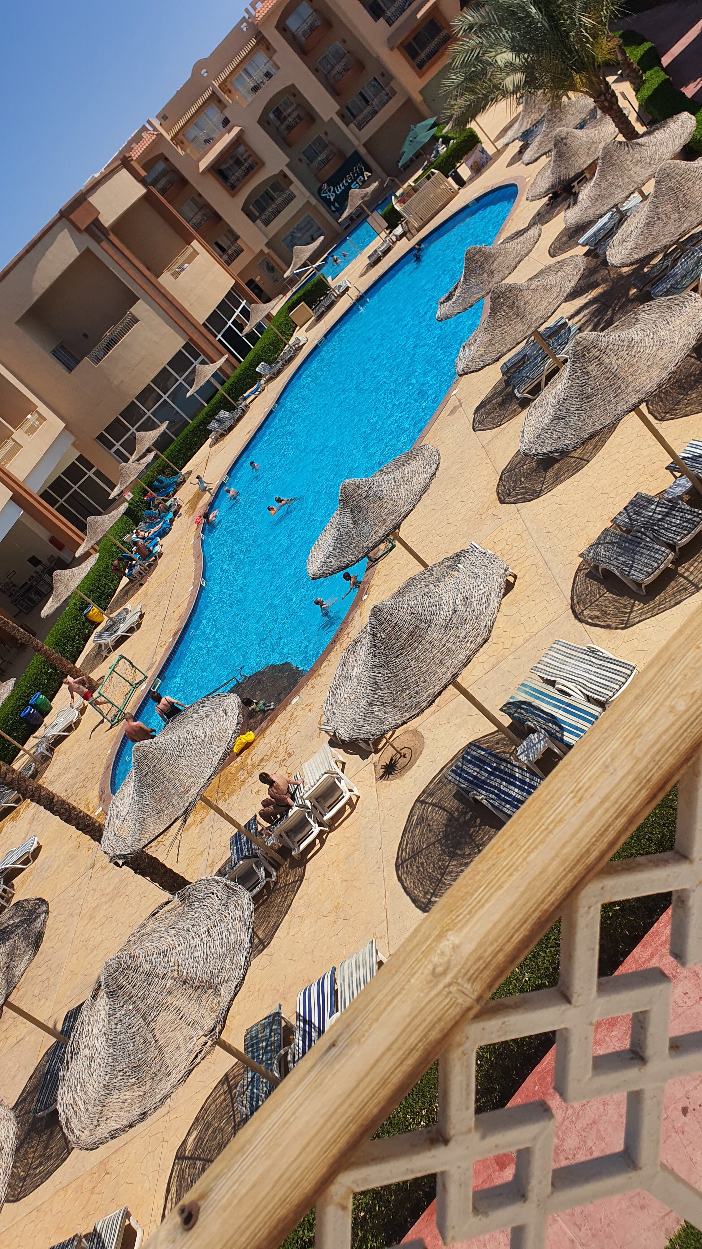 Фото Parrotel Lagoon Waterpark Resort