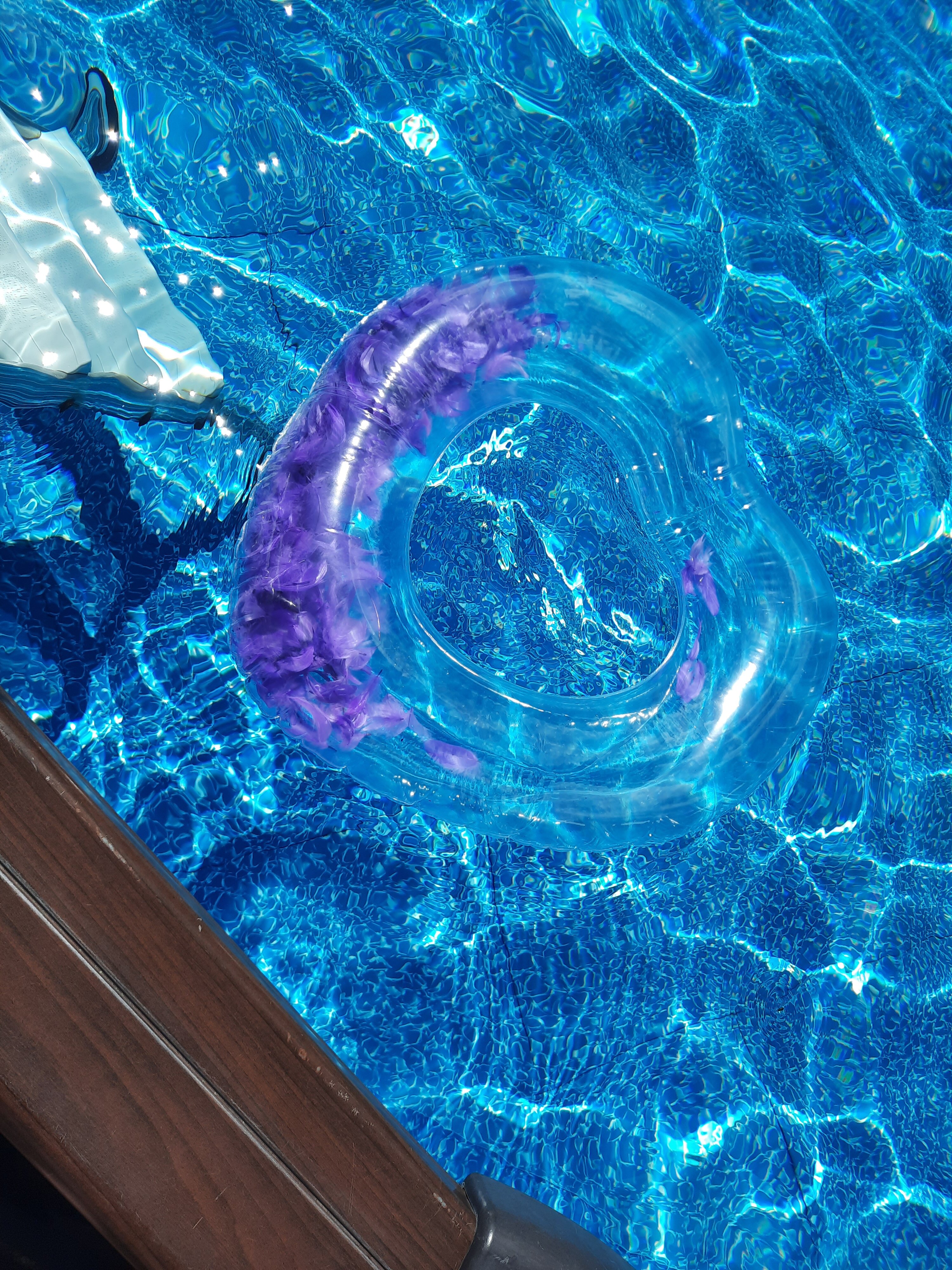 Фото ГрюнХоф