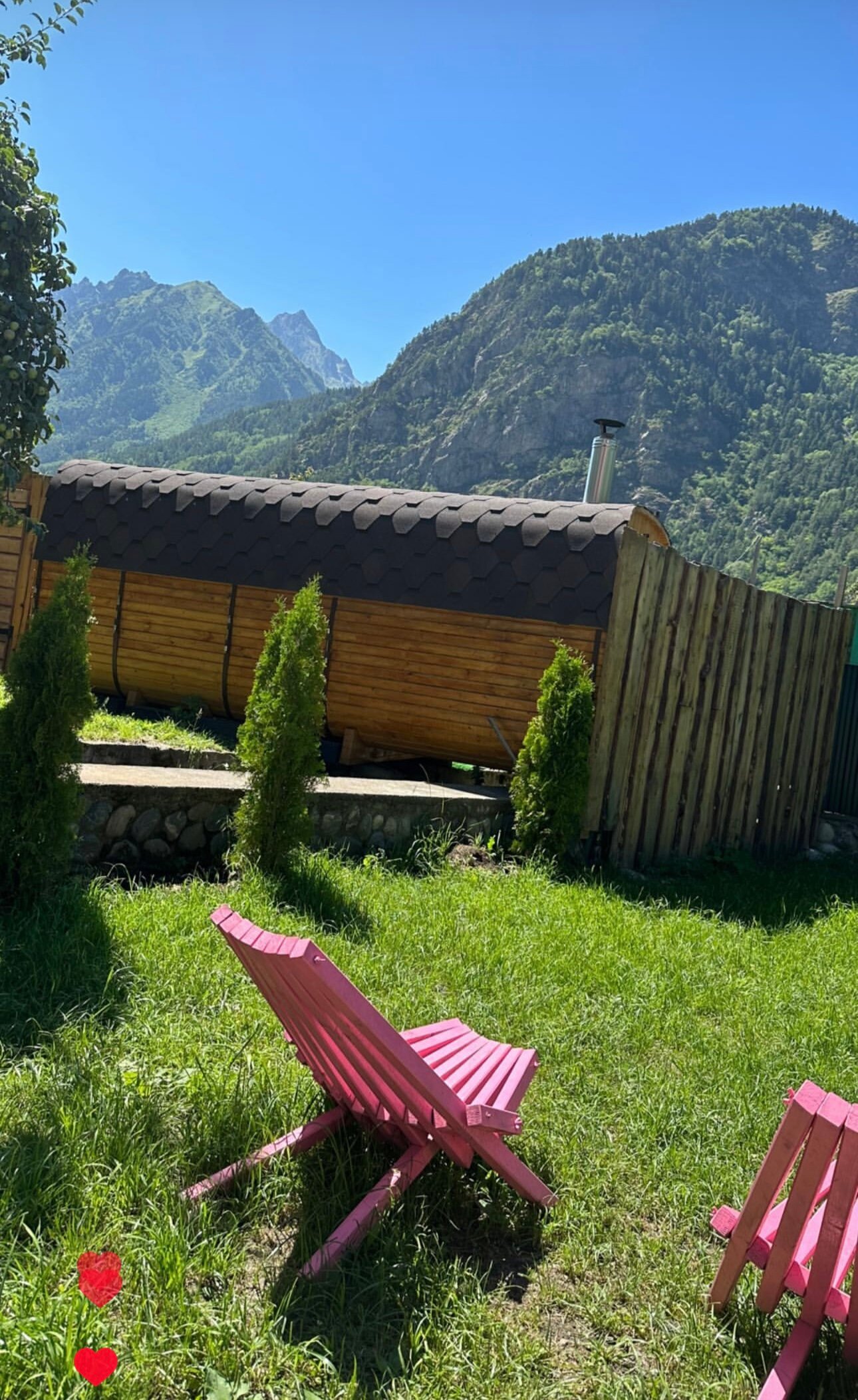 Фото Райские яблоки