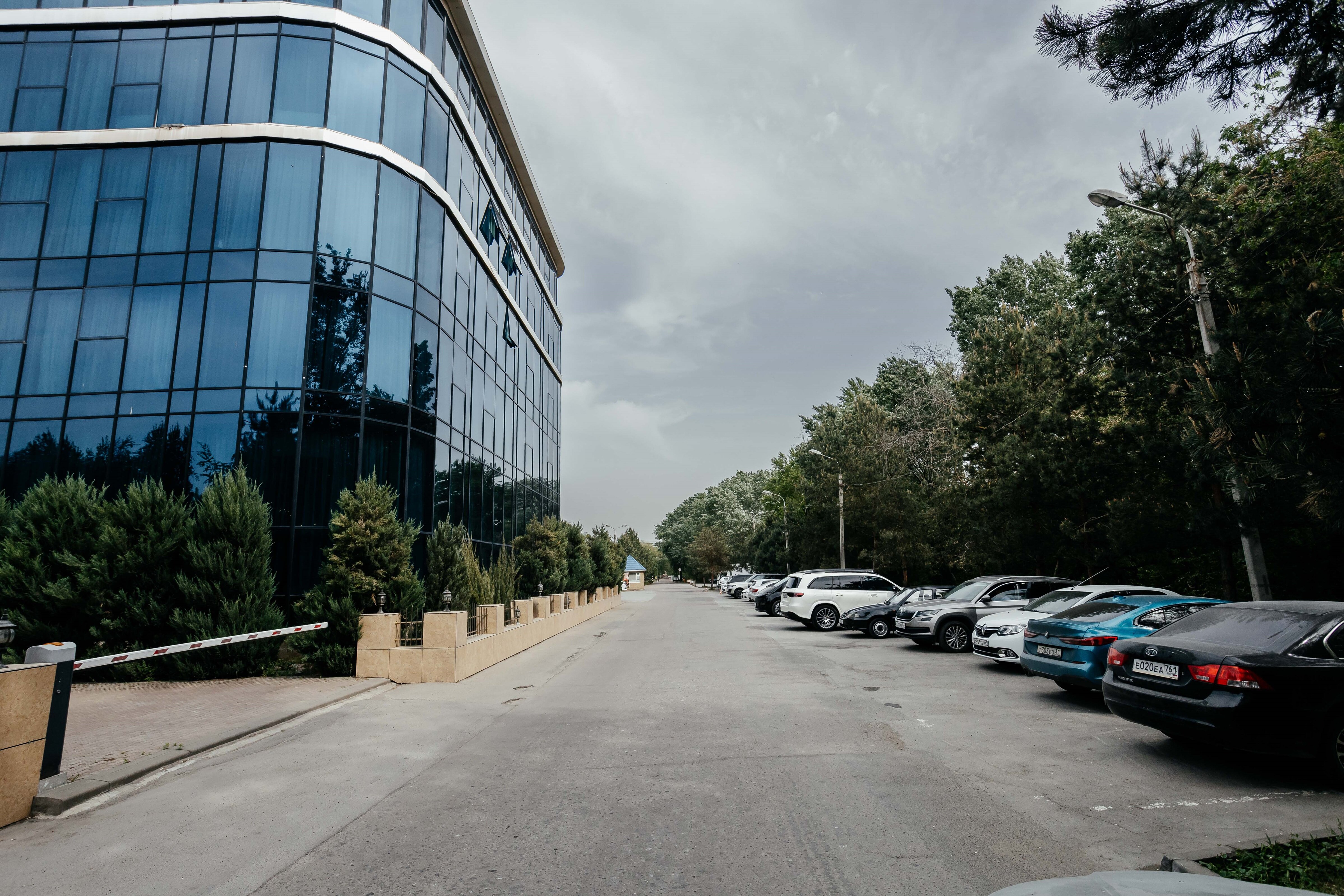 Фото Донская роща