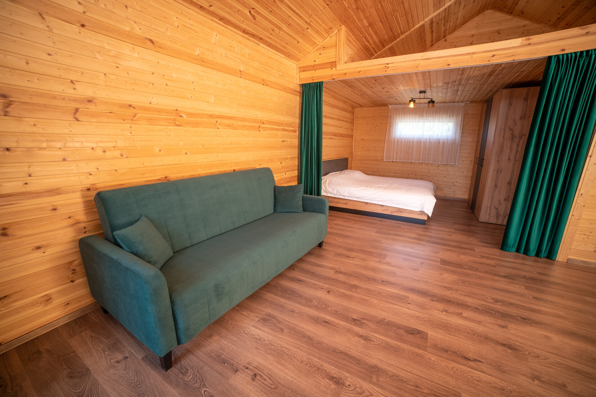 Фото Елки и Иголки