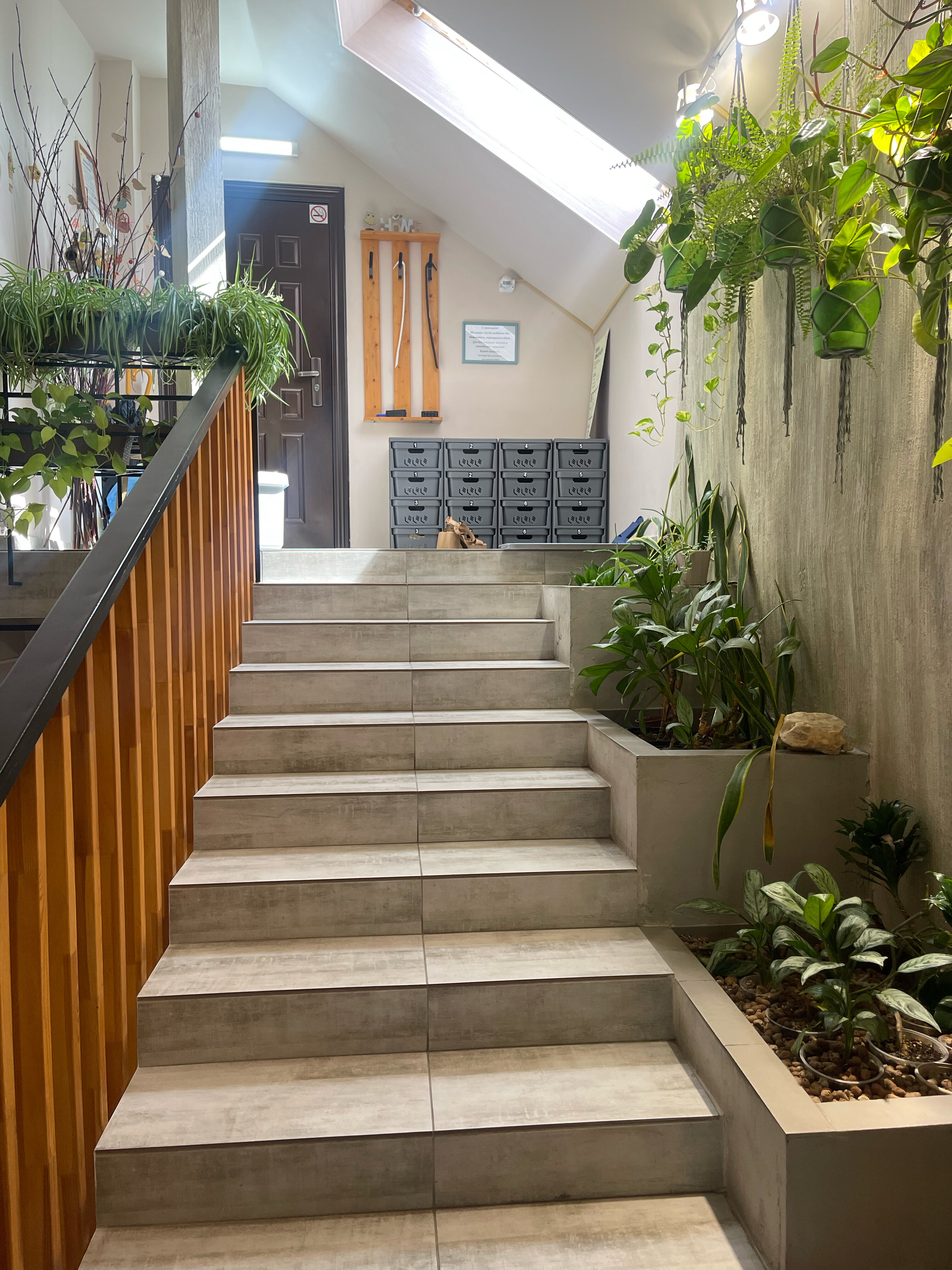 Фото Чук&Гек