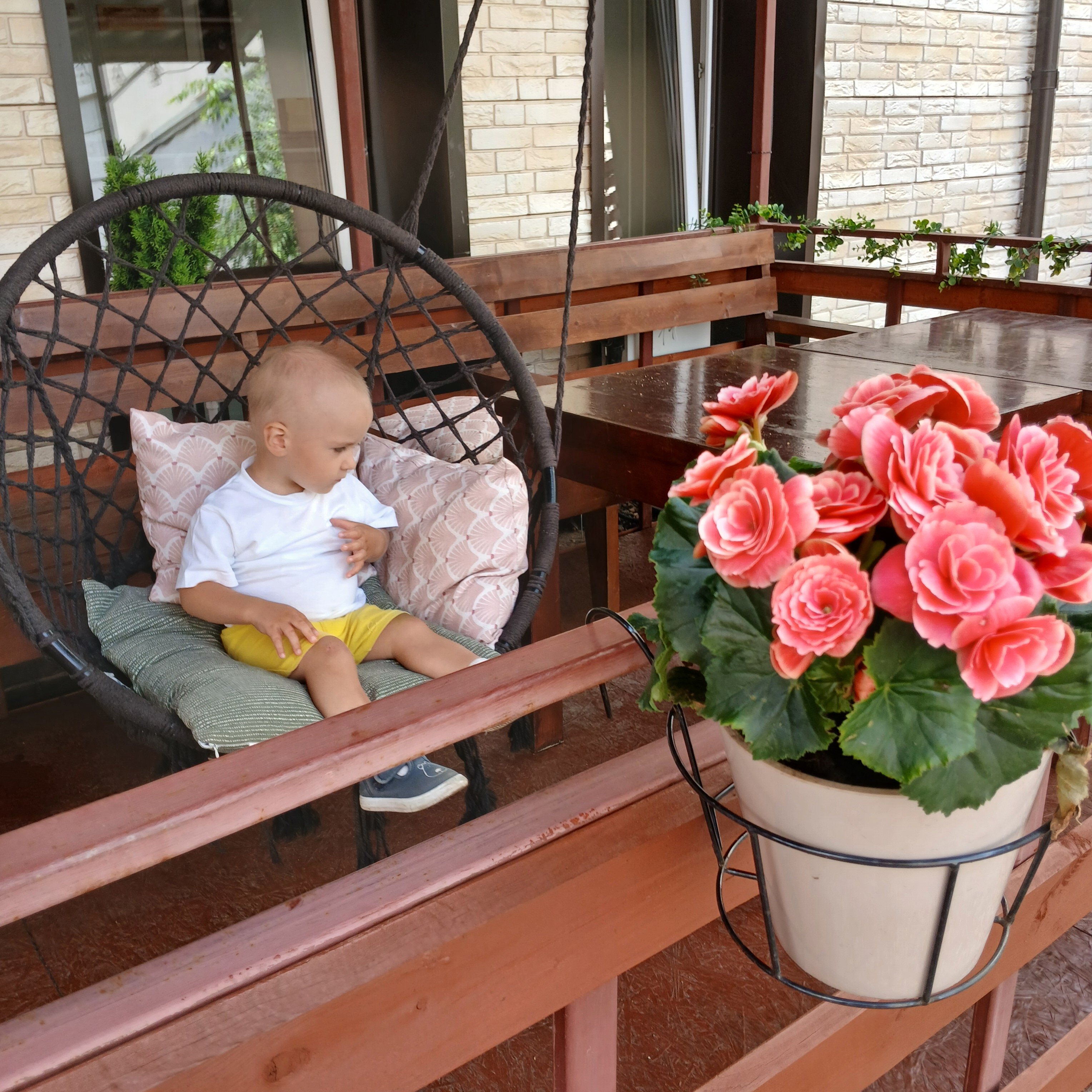 Фото Сканди Хаус