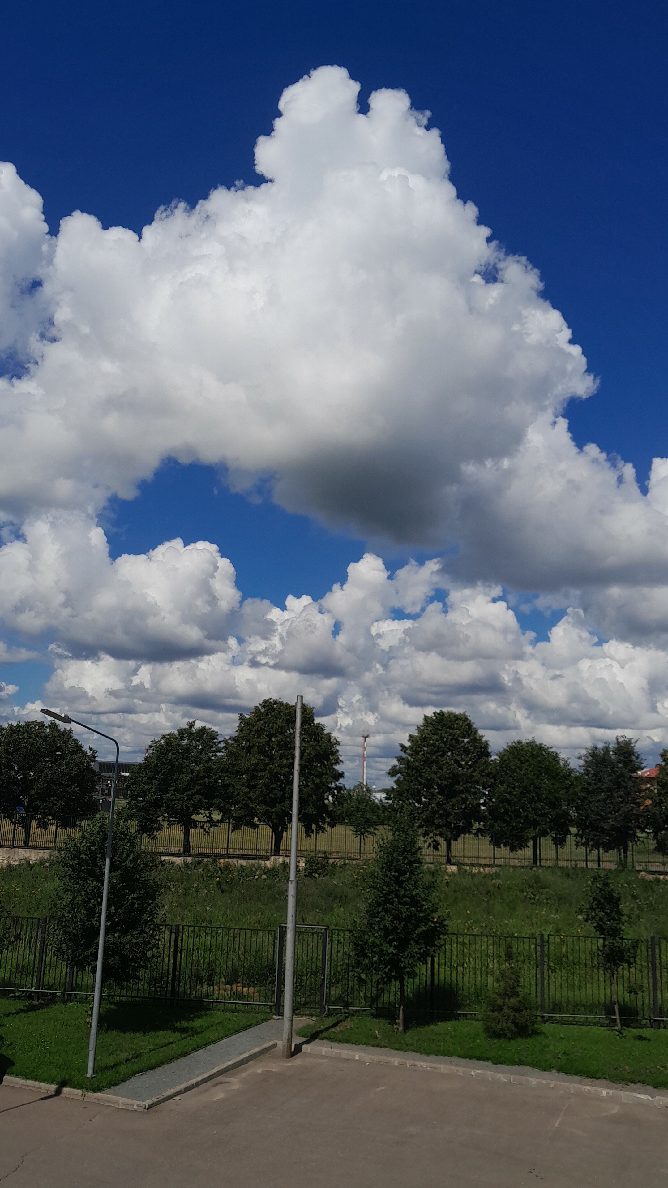 Фото Остафьево