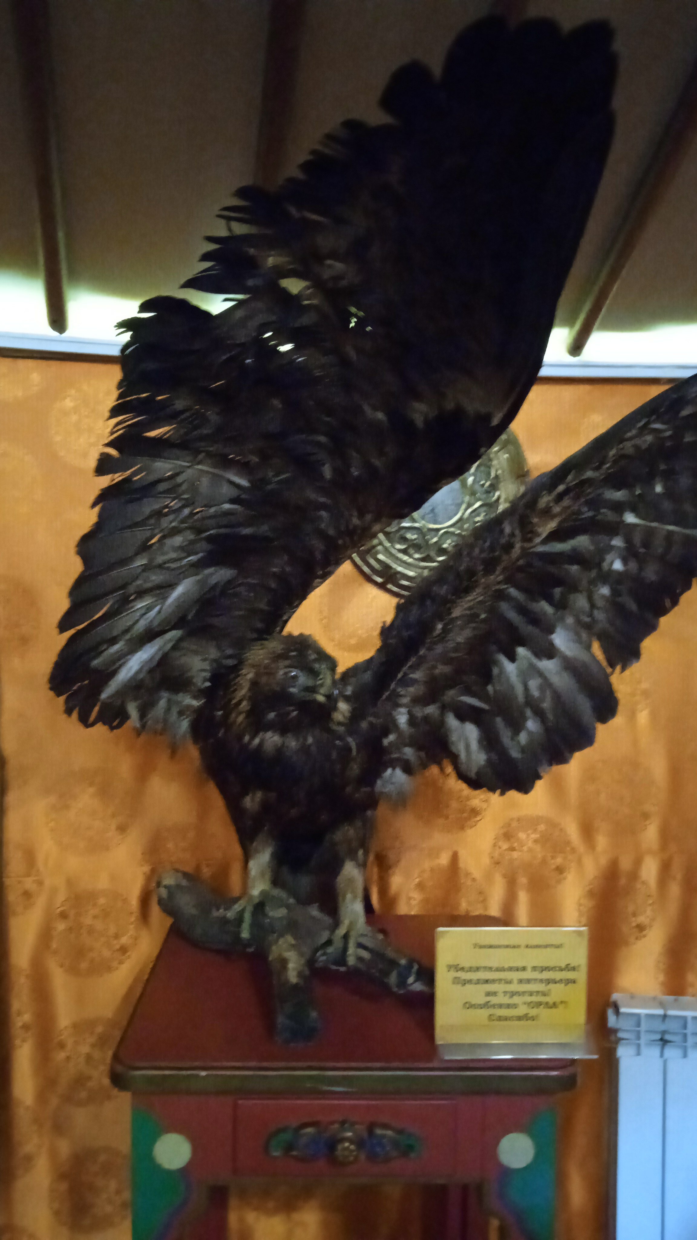 Фото Ноён-отель