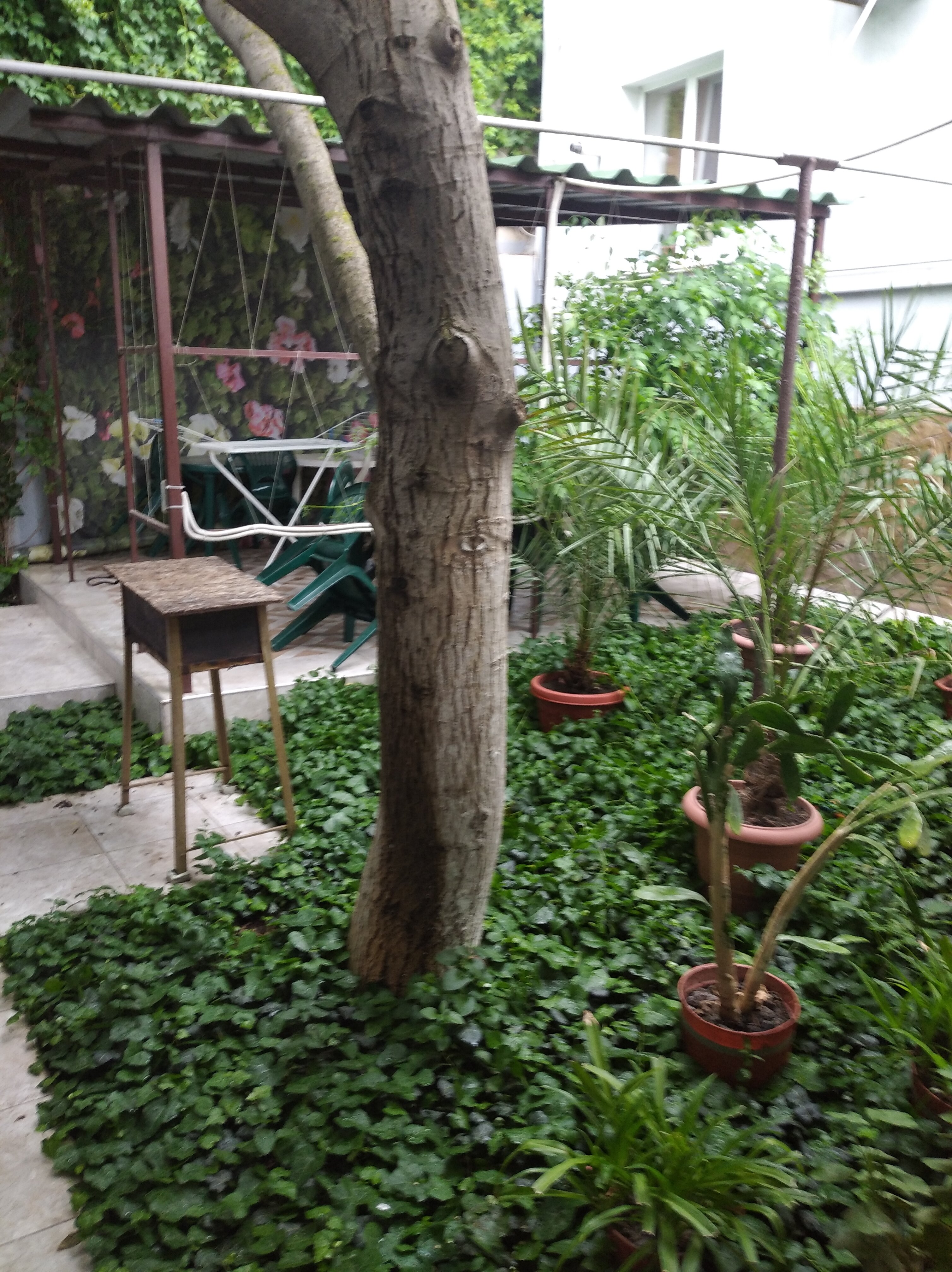 Фото На Победе