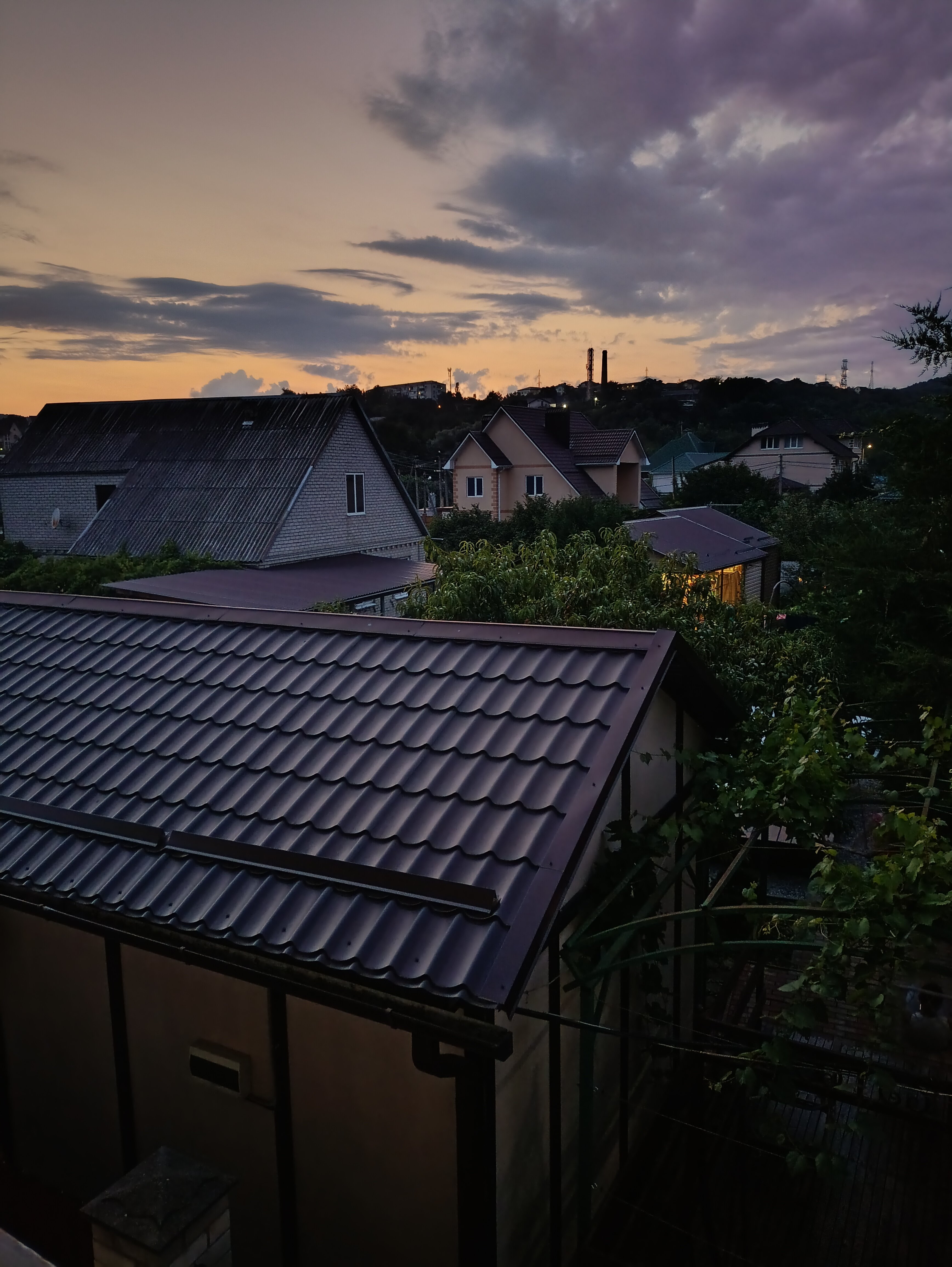 Фото Серебристая Чайка