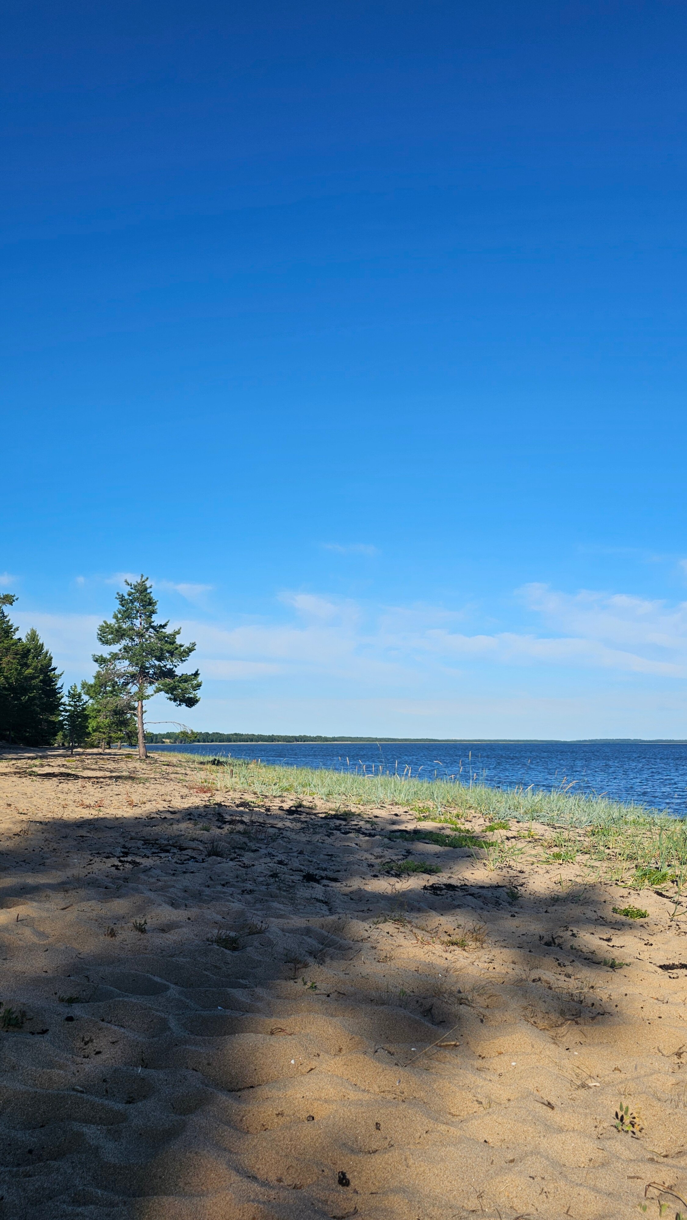 Фото Белый кит