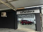 Pandora (Volgogradskaya ulitsa, 51А) ، أجهزة إنذار السيارات