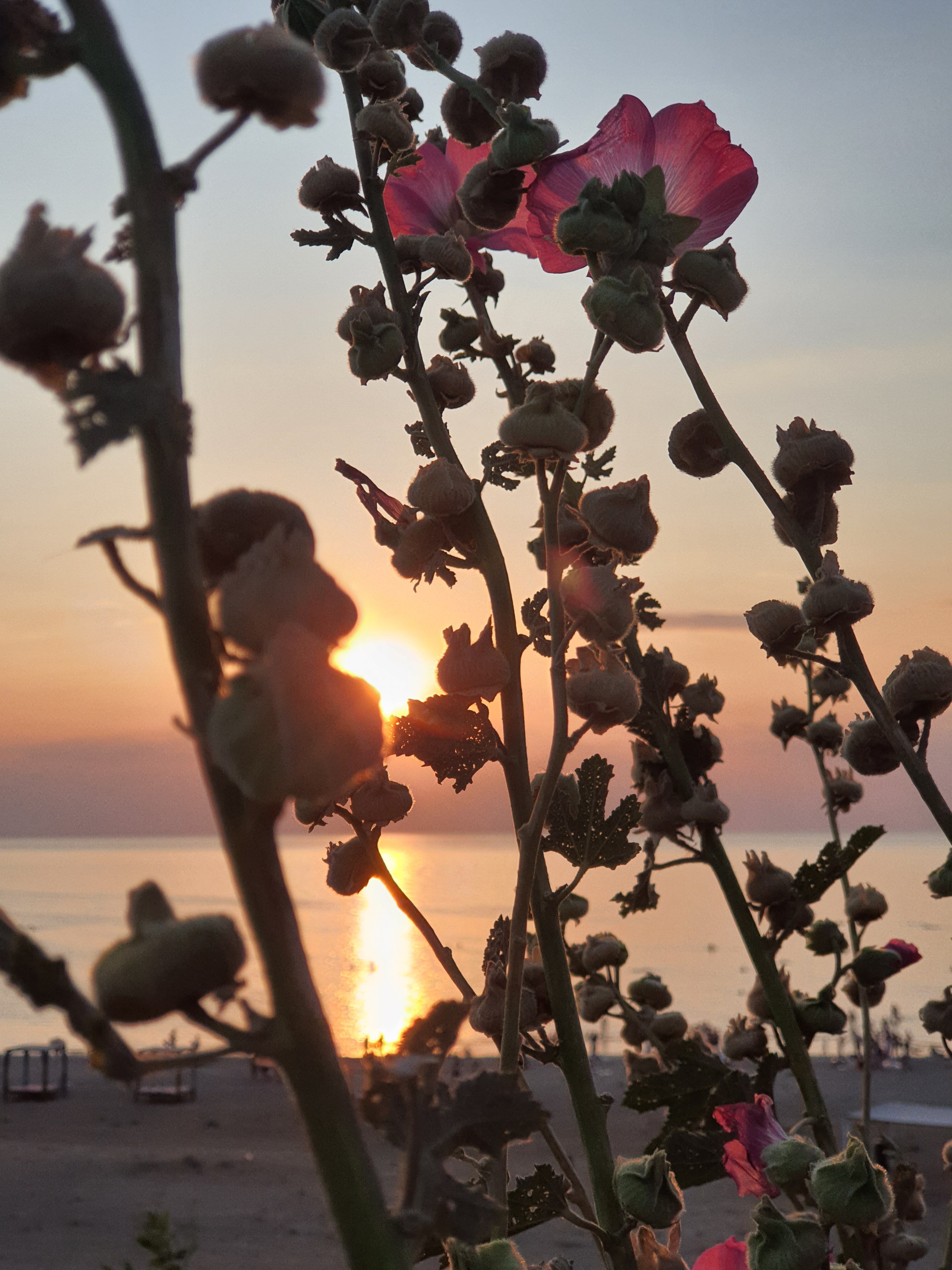 Фото Ривьера