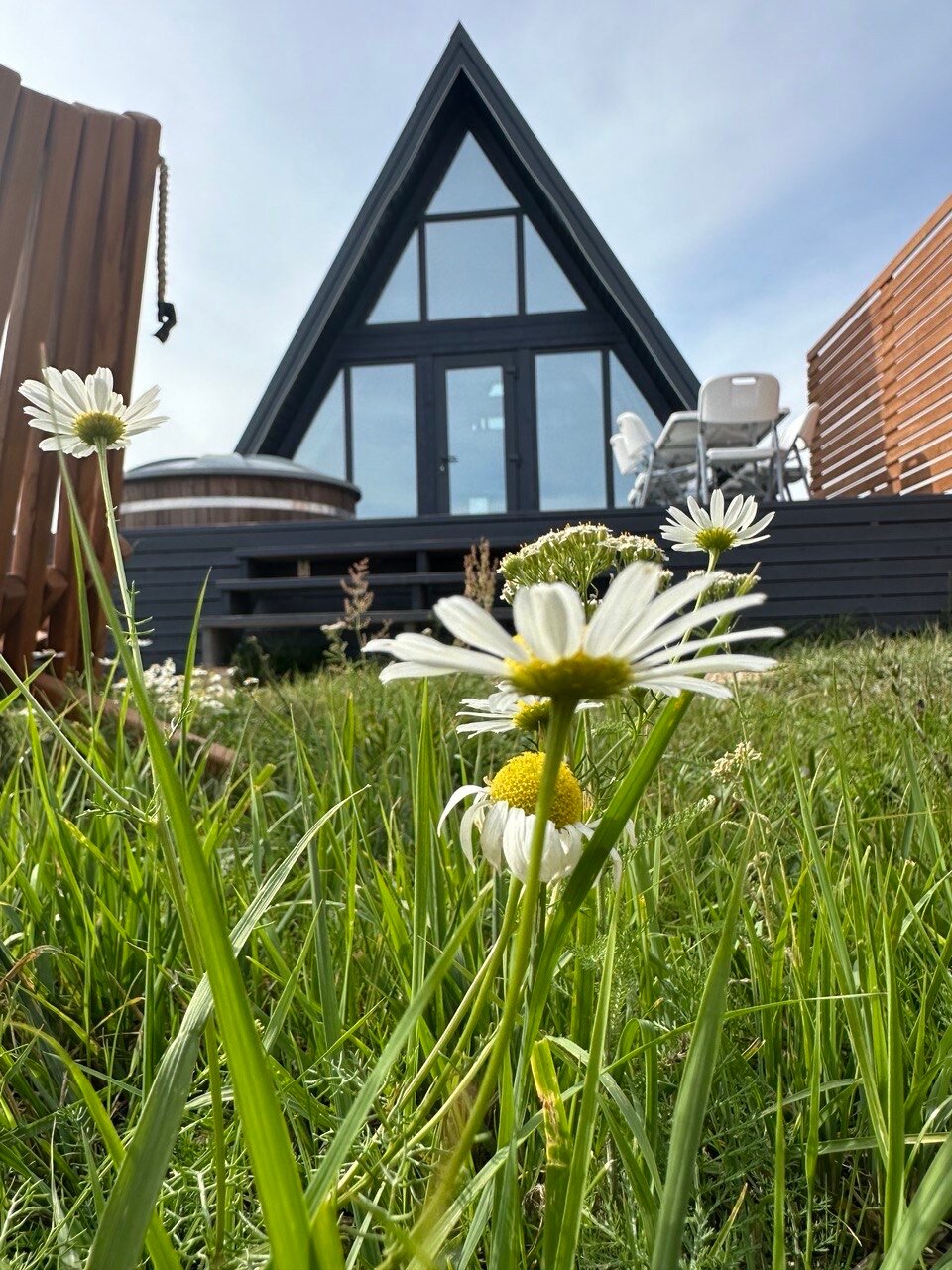 Фото Сафари