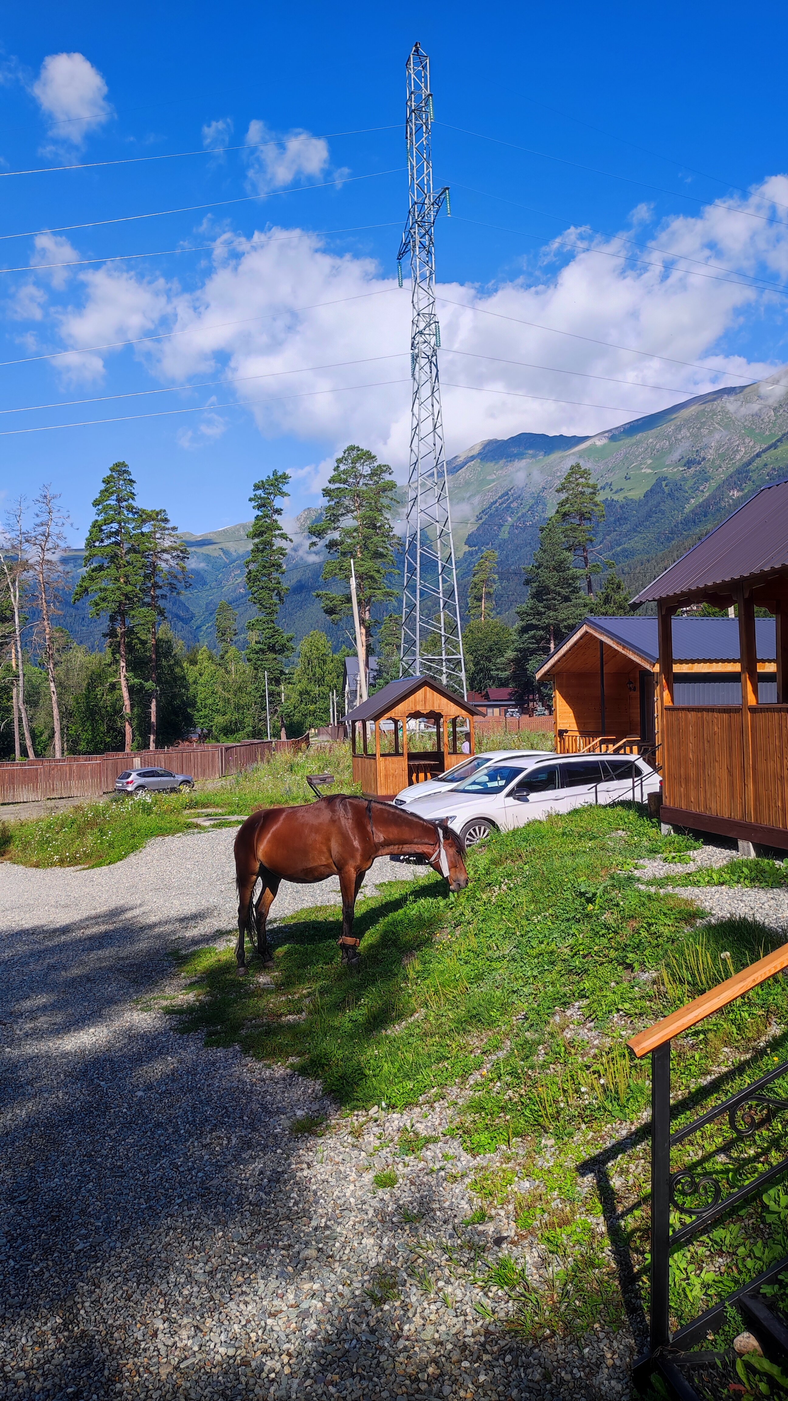 Фото Paradise Forest