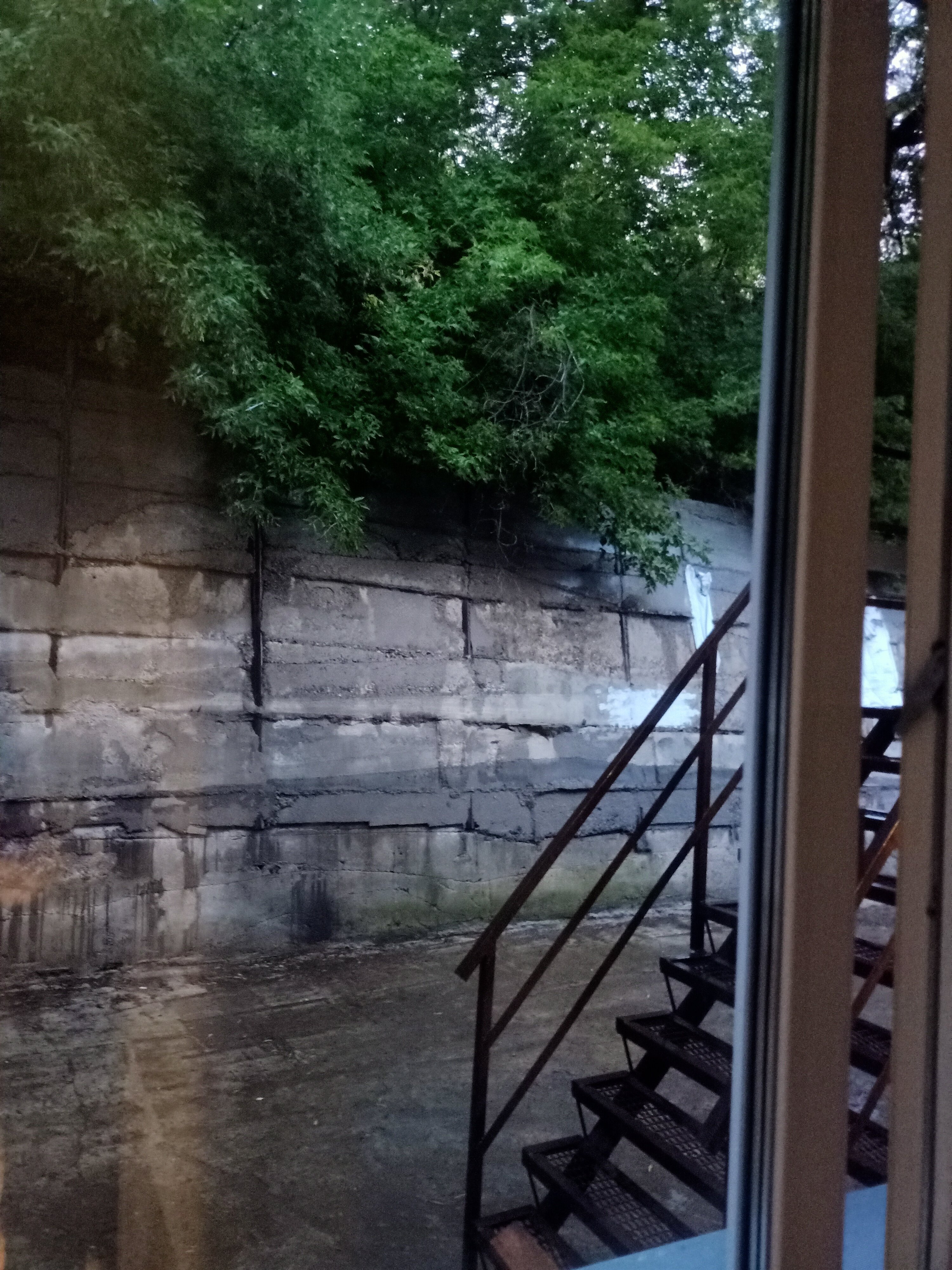 Фото Морион