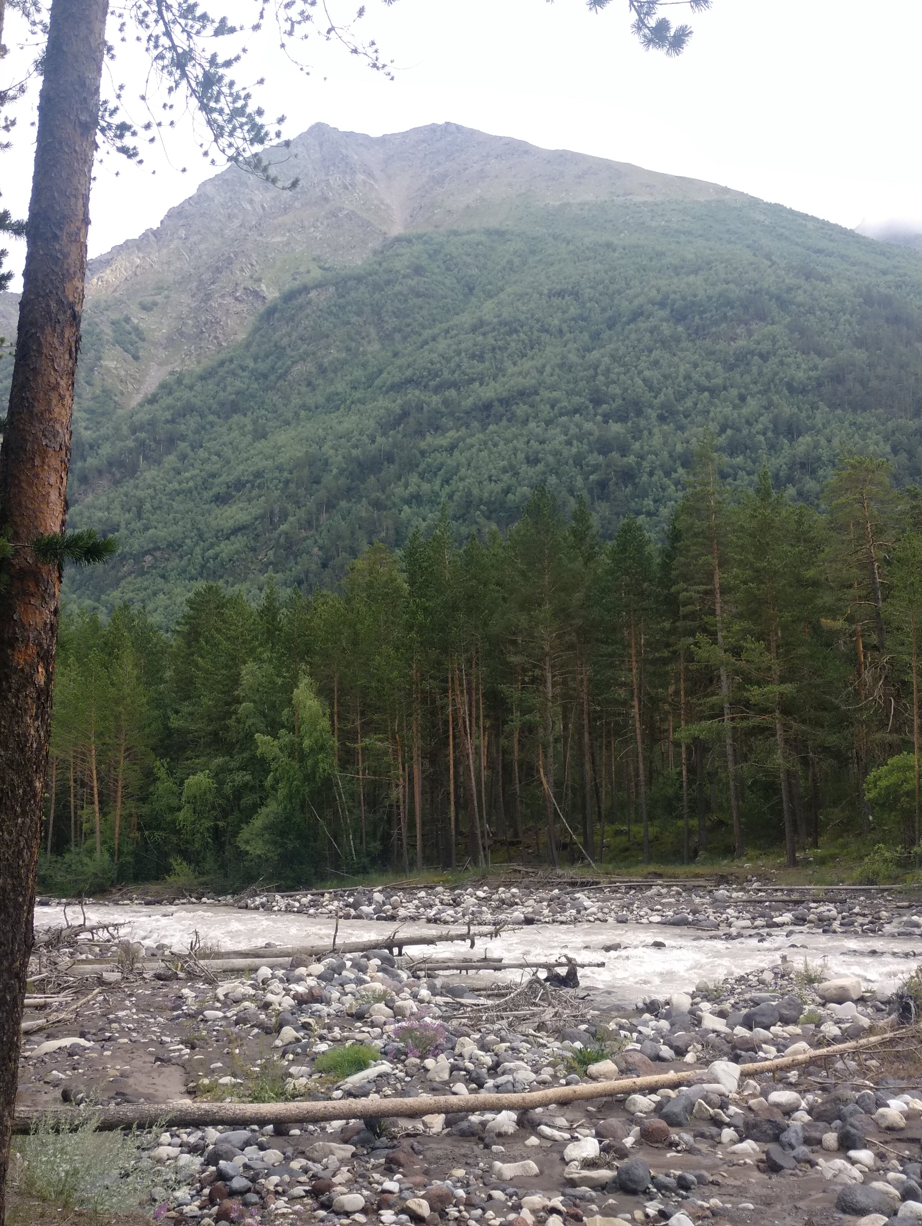 Фото Гостевой дом 2050