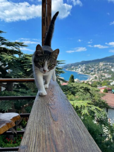 Дом в аренду Мистер Тукер в Ялте