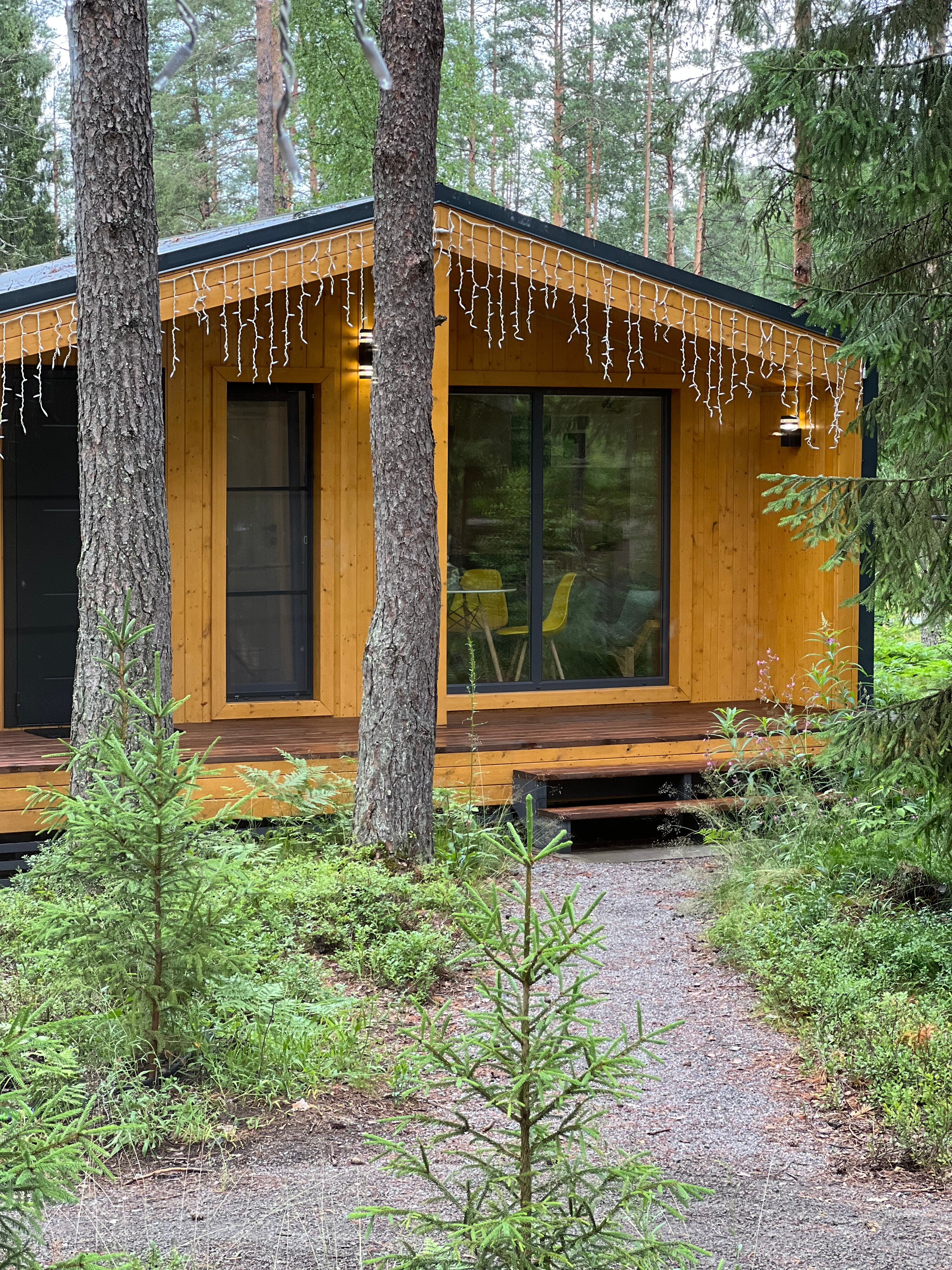 Фото Территория отдыха Лисички