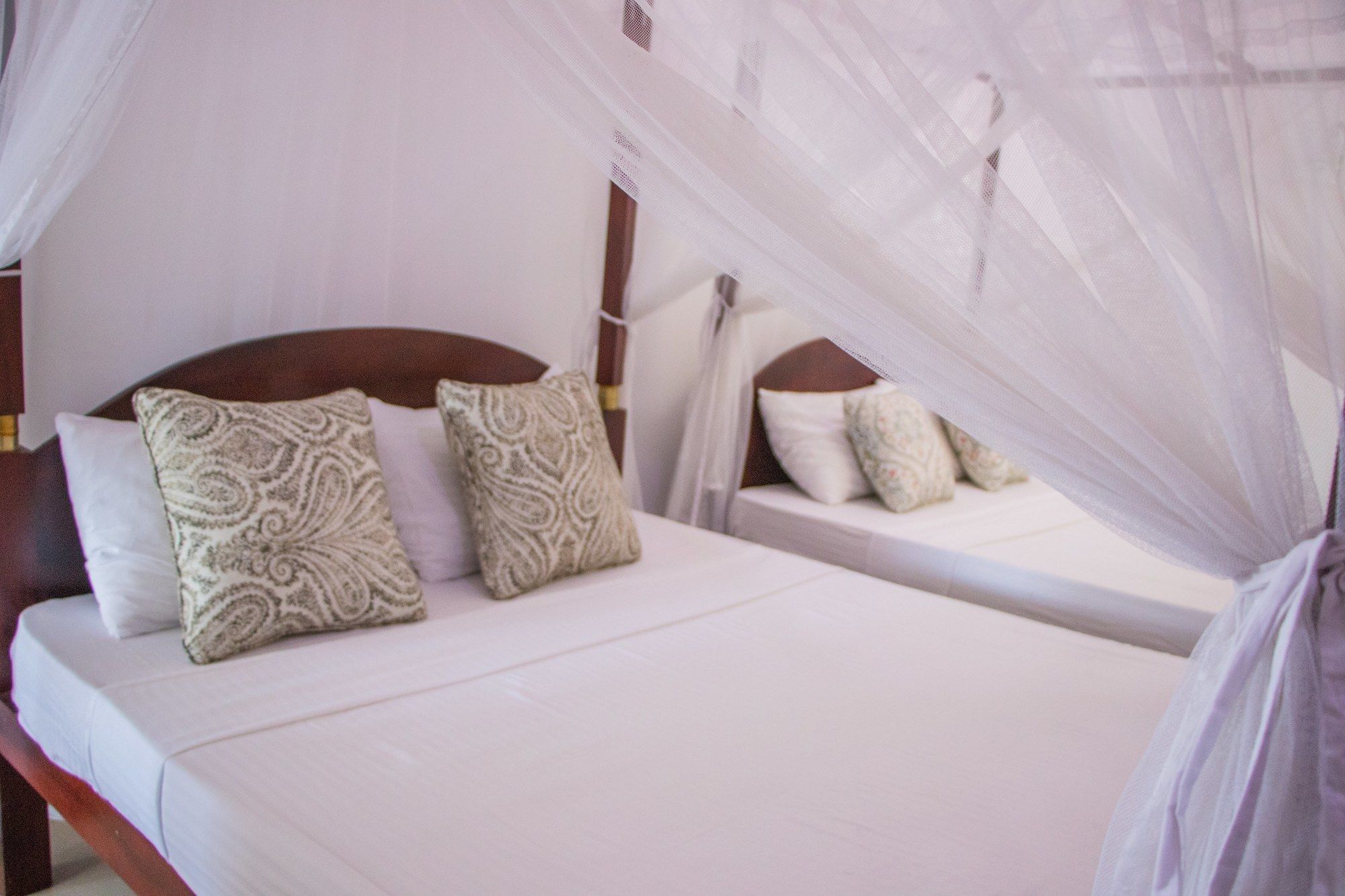 Фото Bliss Luxury Apartment