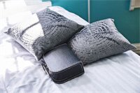 Фото Danhostel Odense City