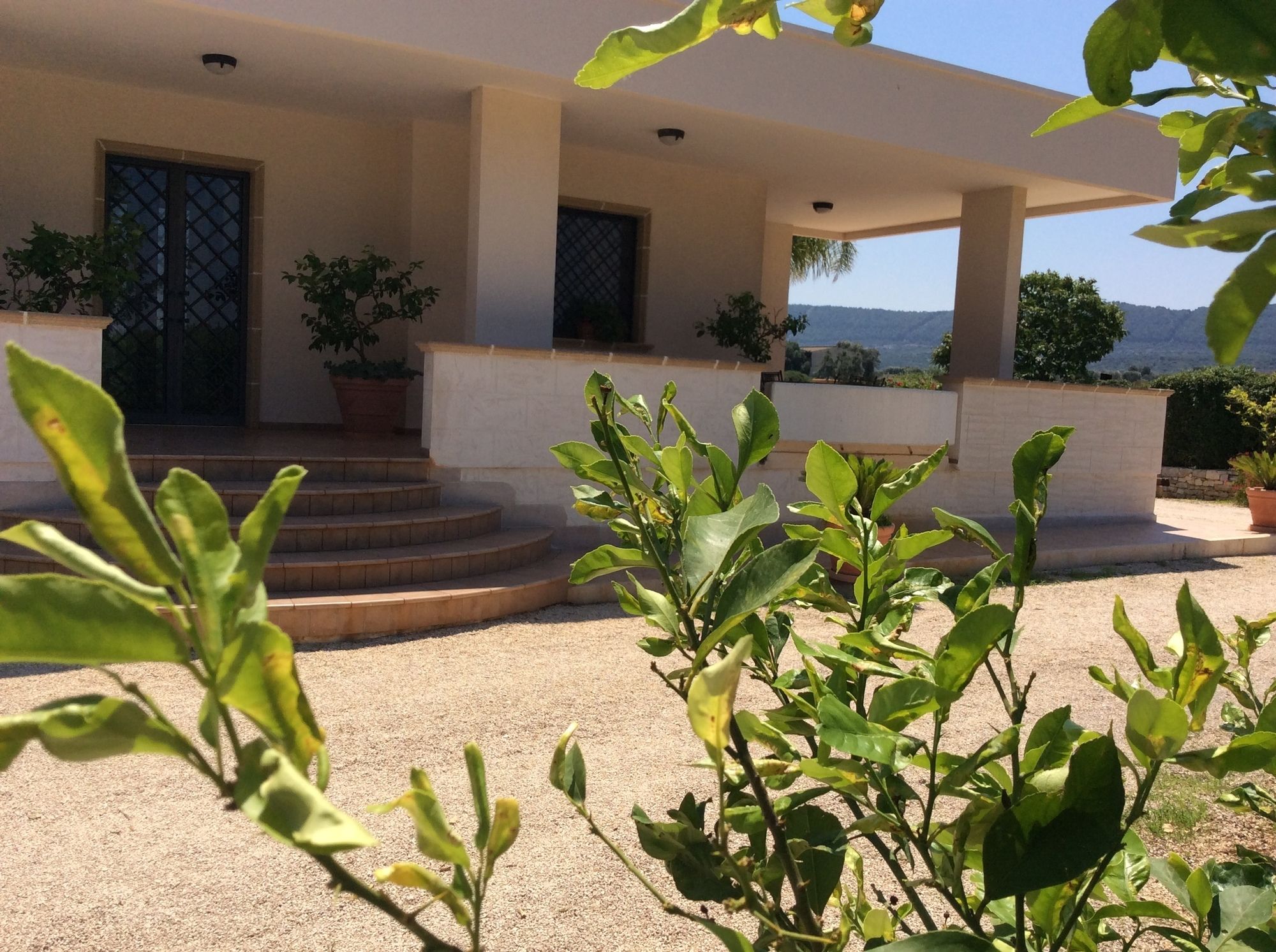 Фото Villa Narducci