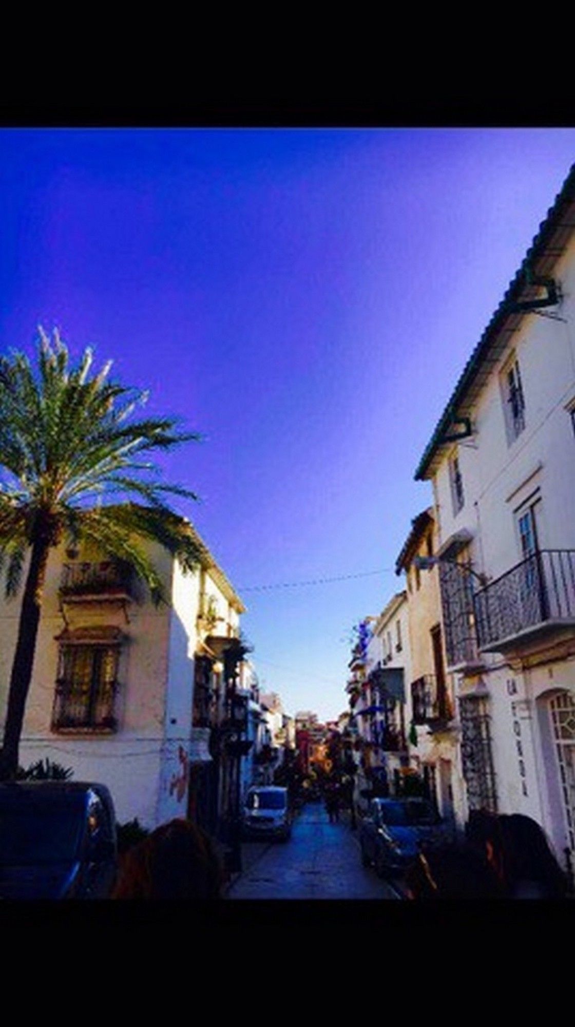 Фото Hostel Bohemia