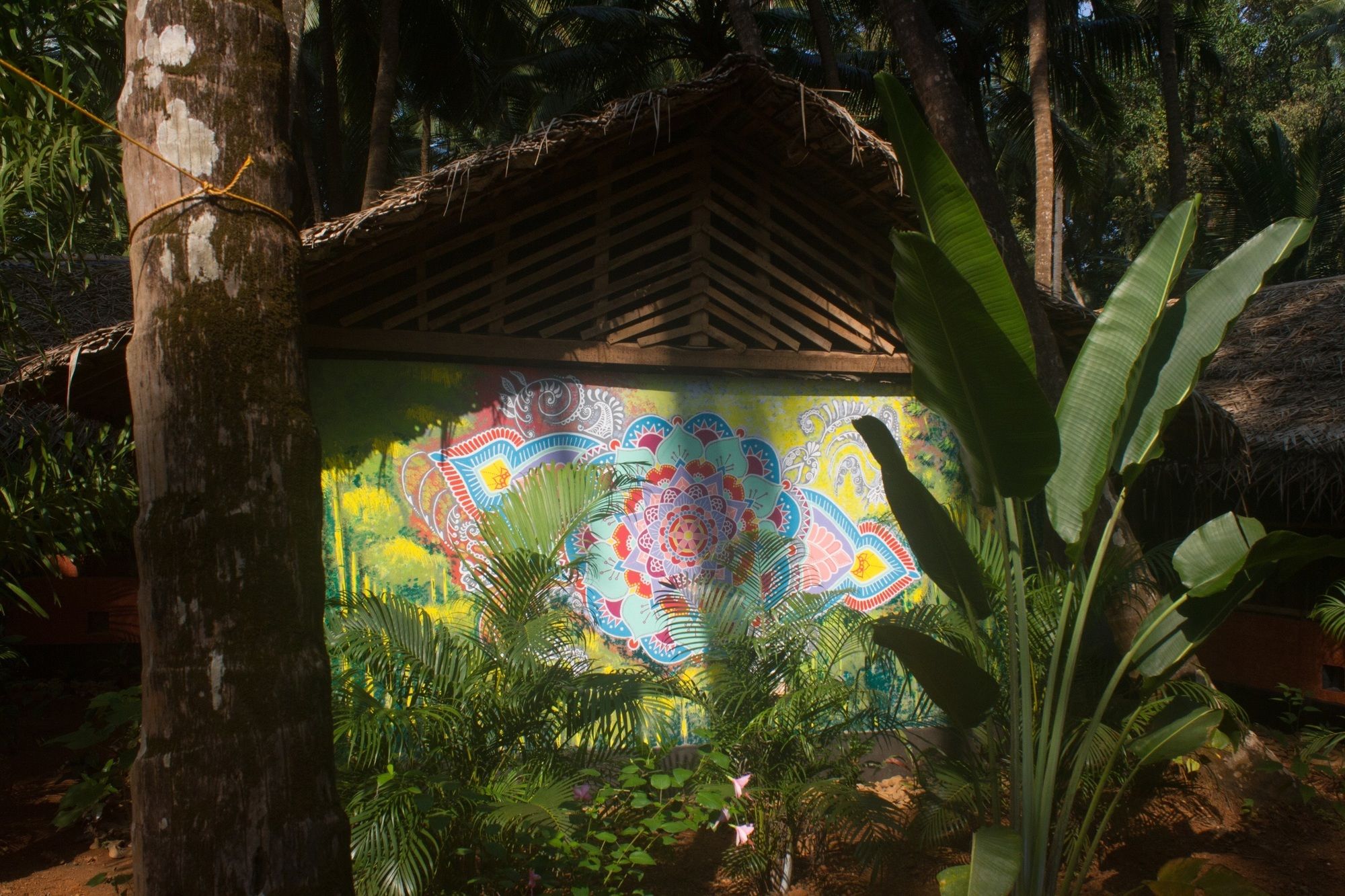 Фото Palm Trees Ayurvedic Heritage