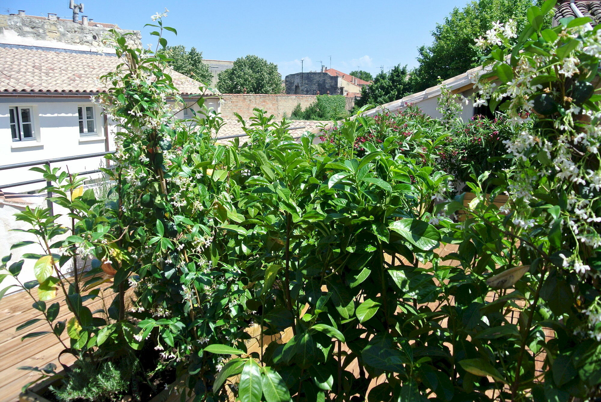 Фото Aux Augustins