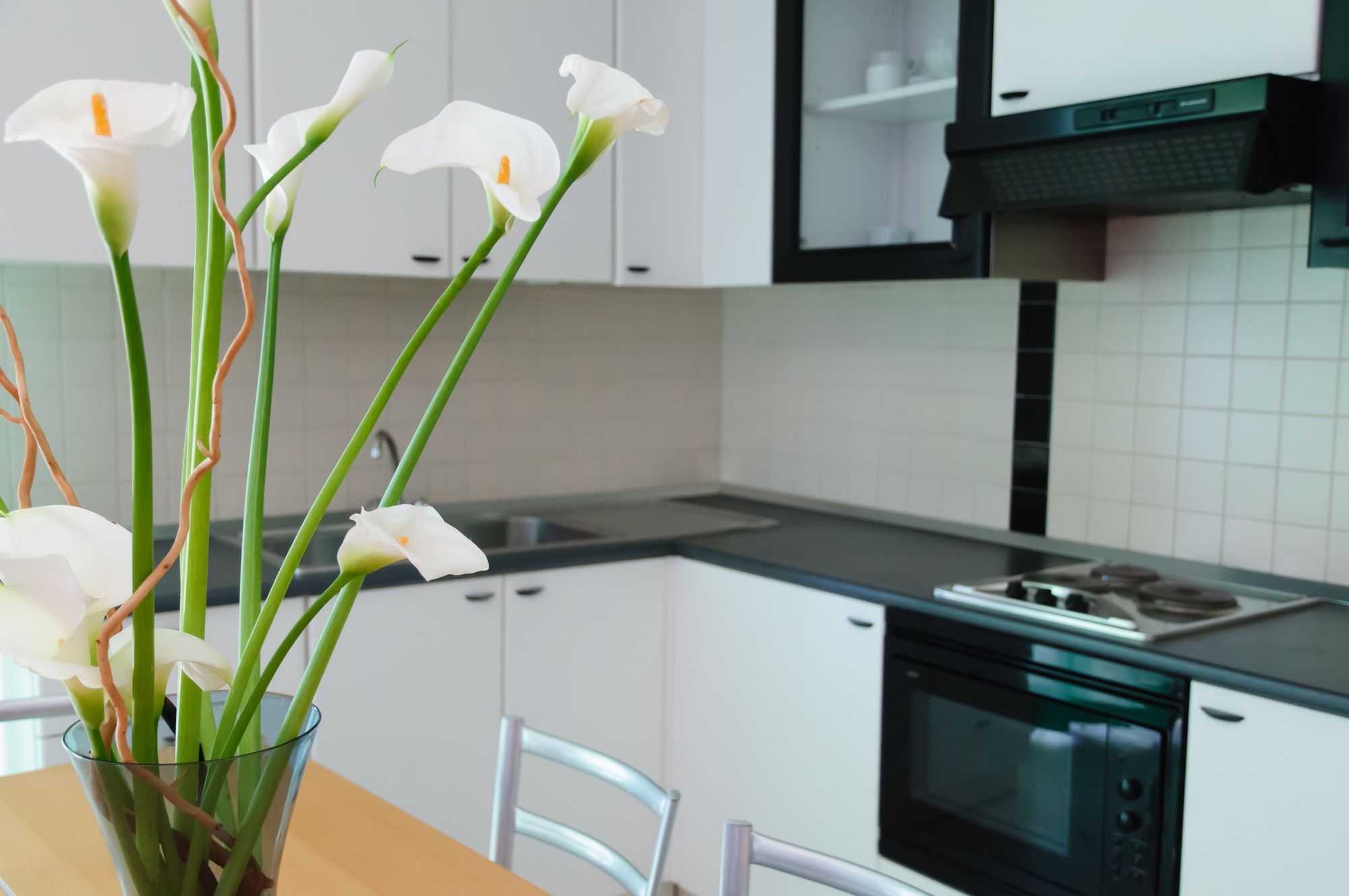 Фото Residence Belvedere Vista