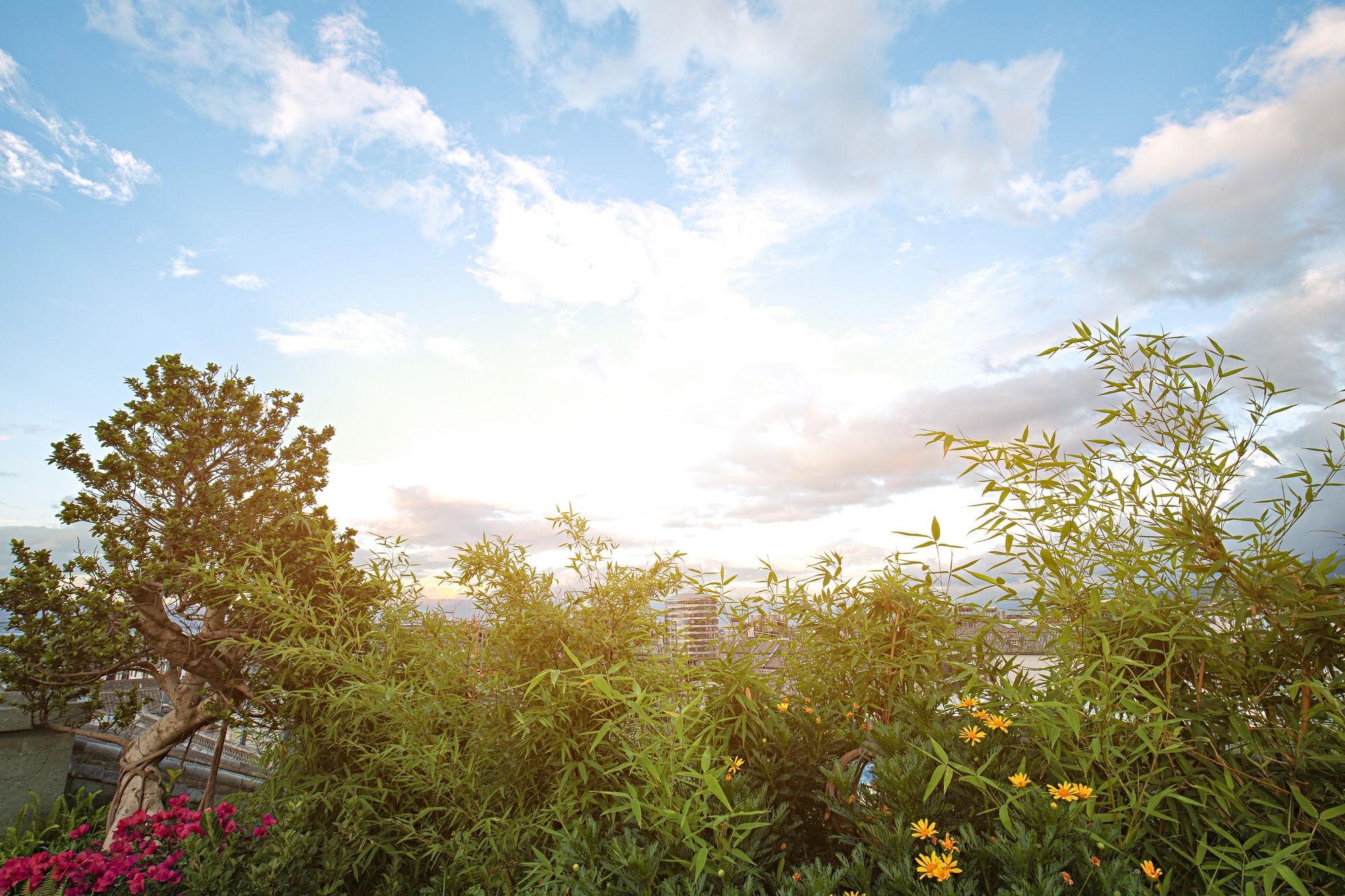 Фото China Old Story Inns Dali Ancient Town