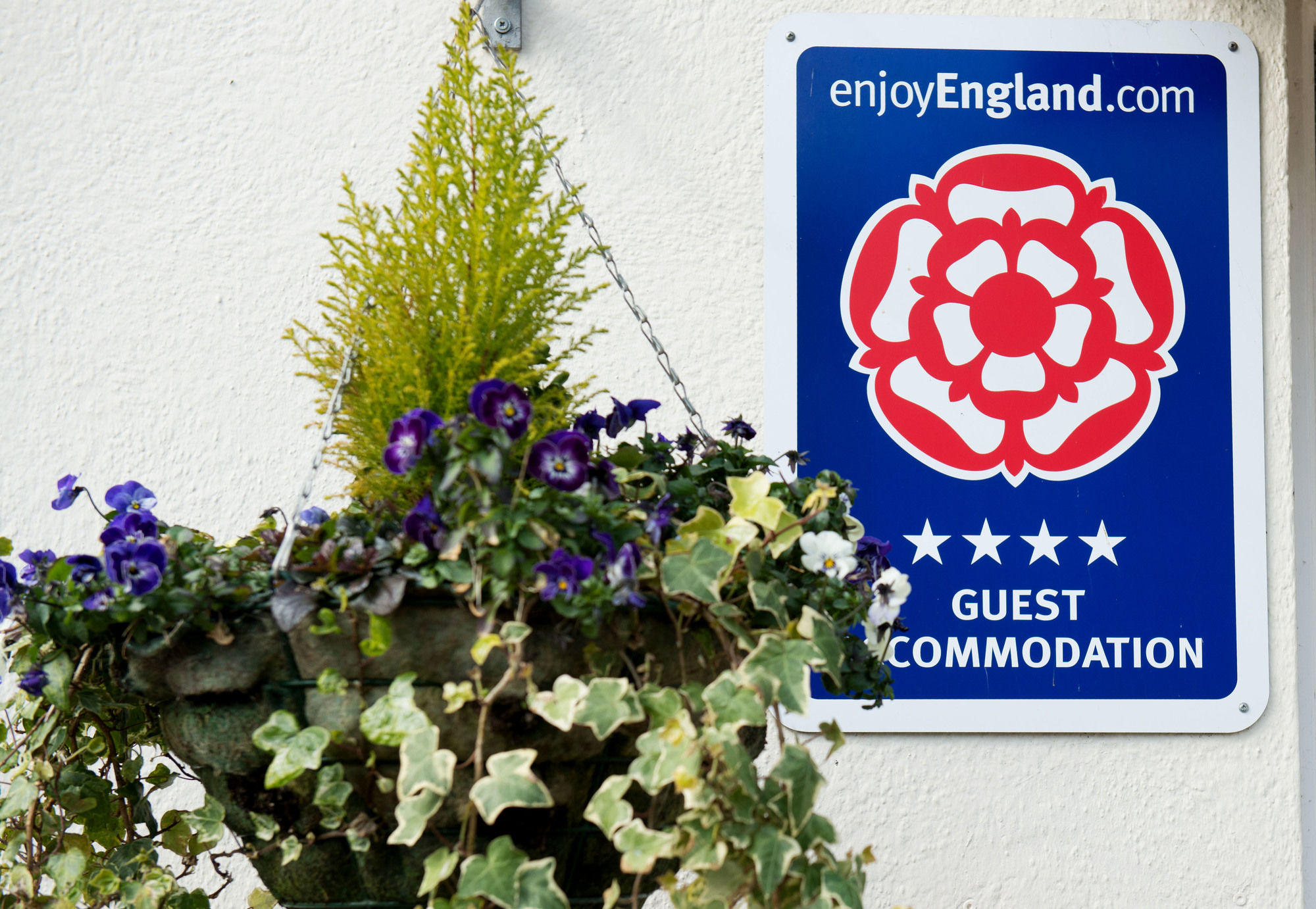 Фото Blue Waters Lodge