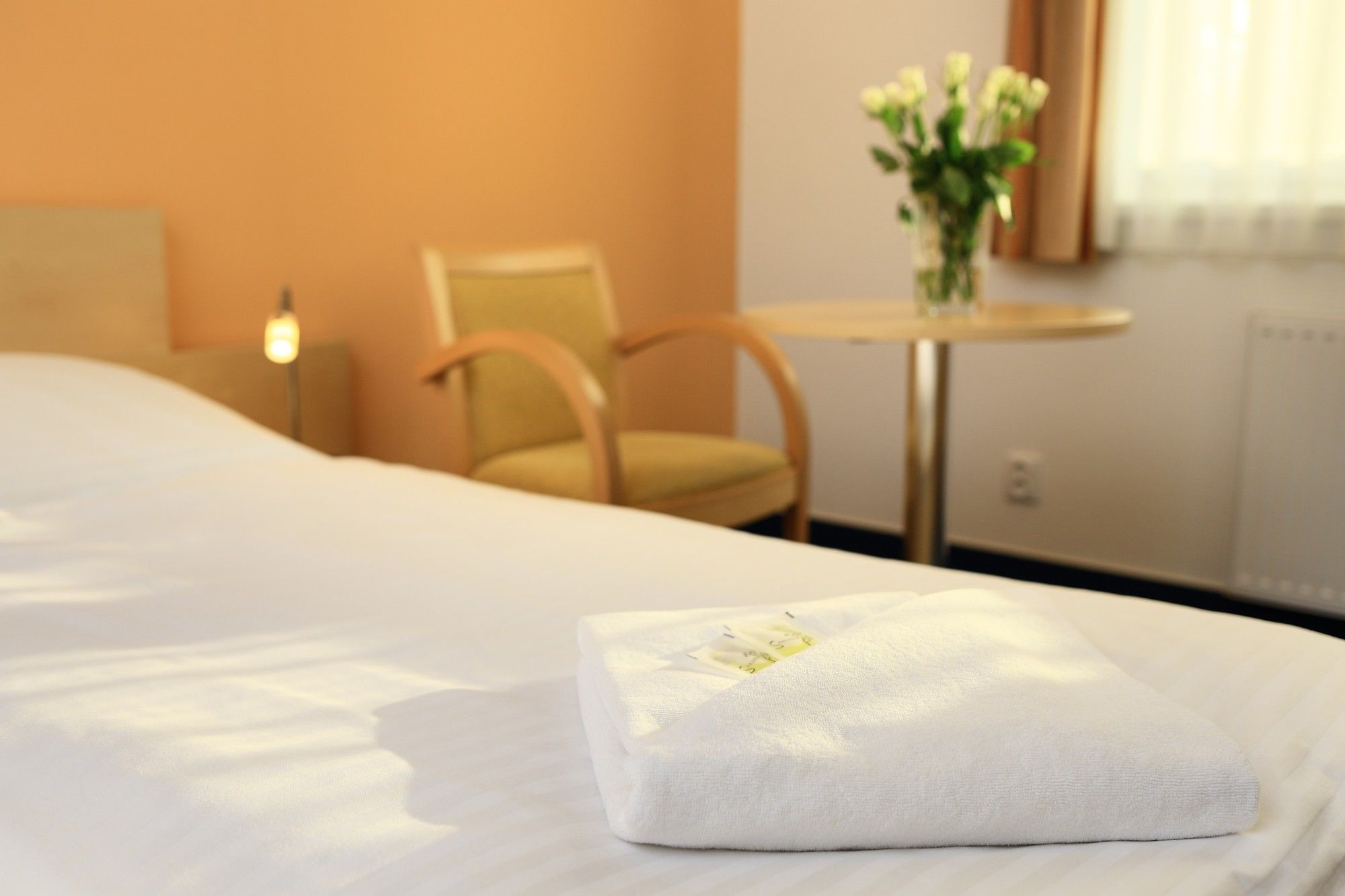 Фото Penzion Krumlov - B&b Hotel