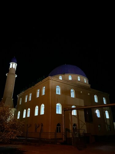 Гей достар секс